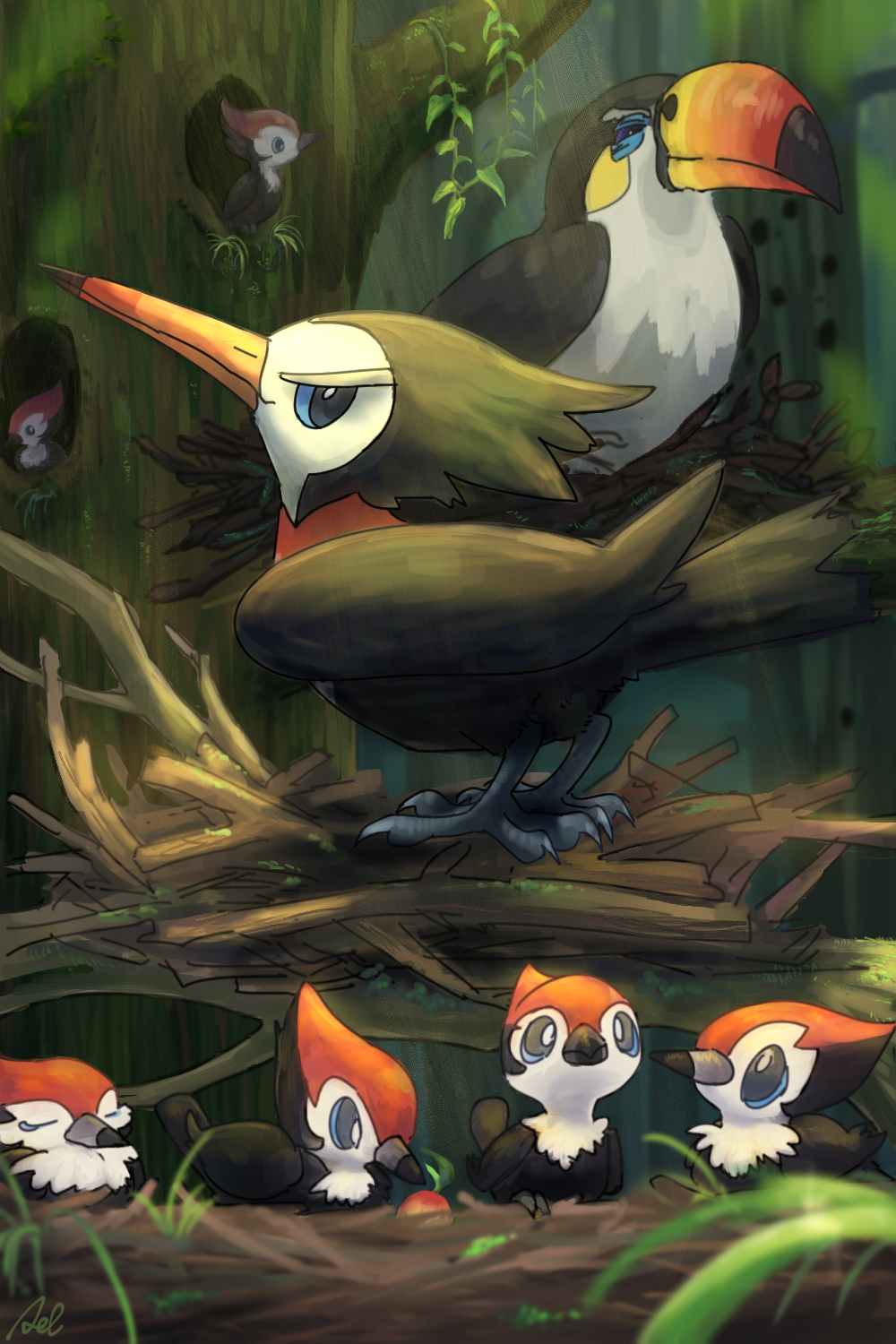 Toucannon Hd Wallpapers