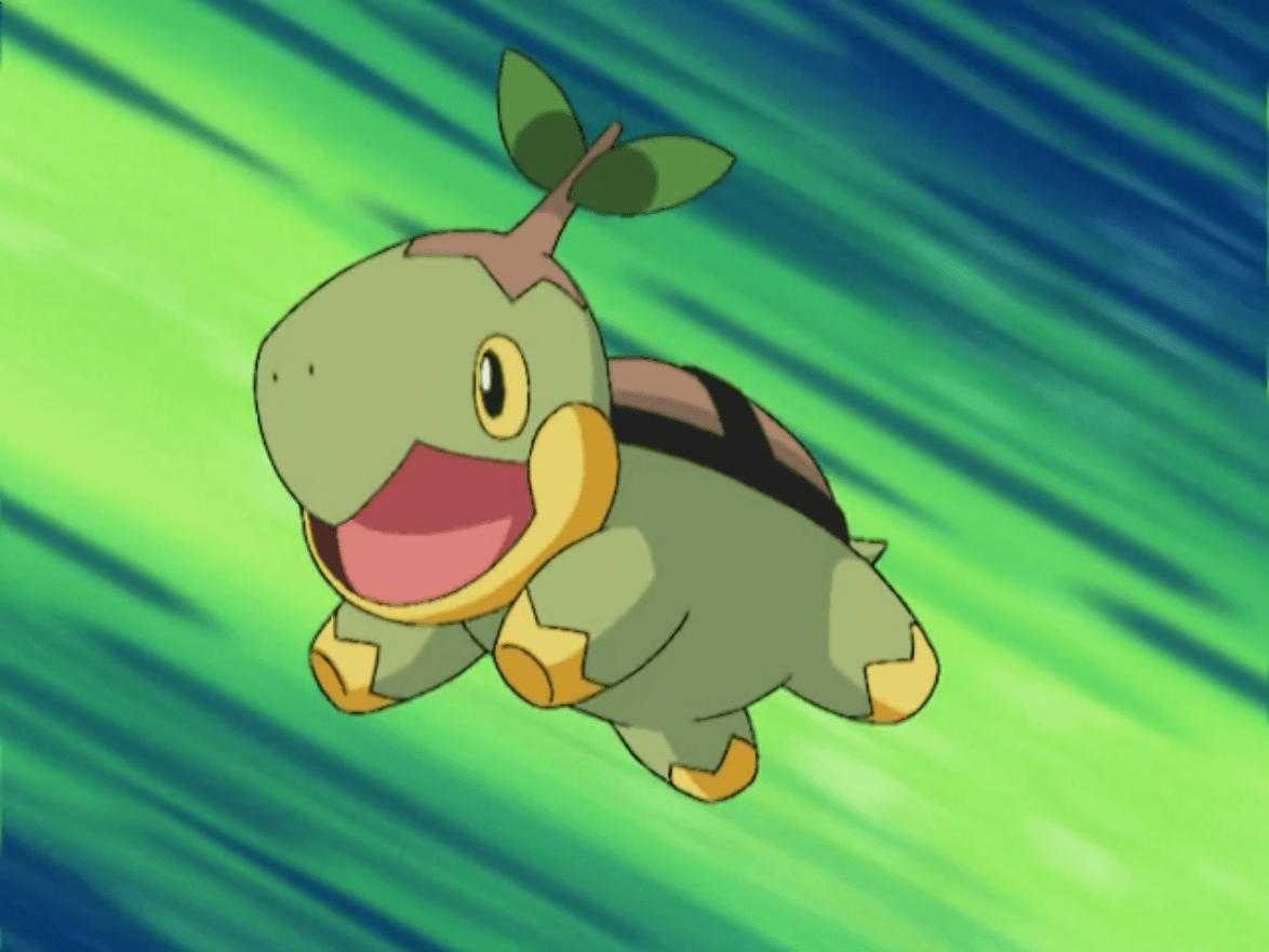 Turtwig Hd Wallpapers