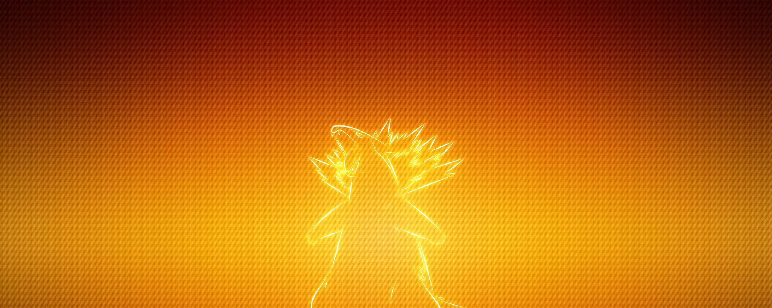 Typhlosion Hd Wallpapers