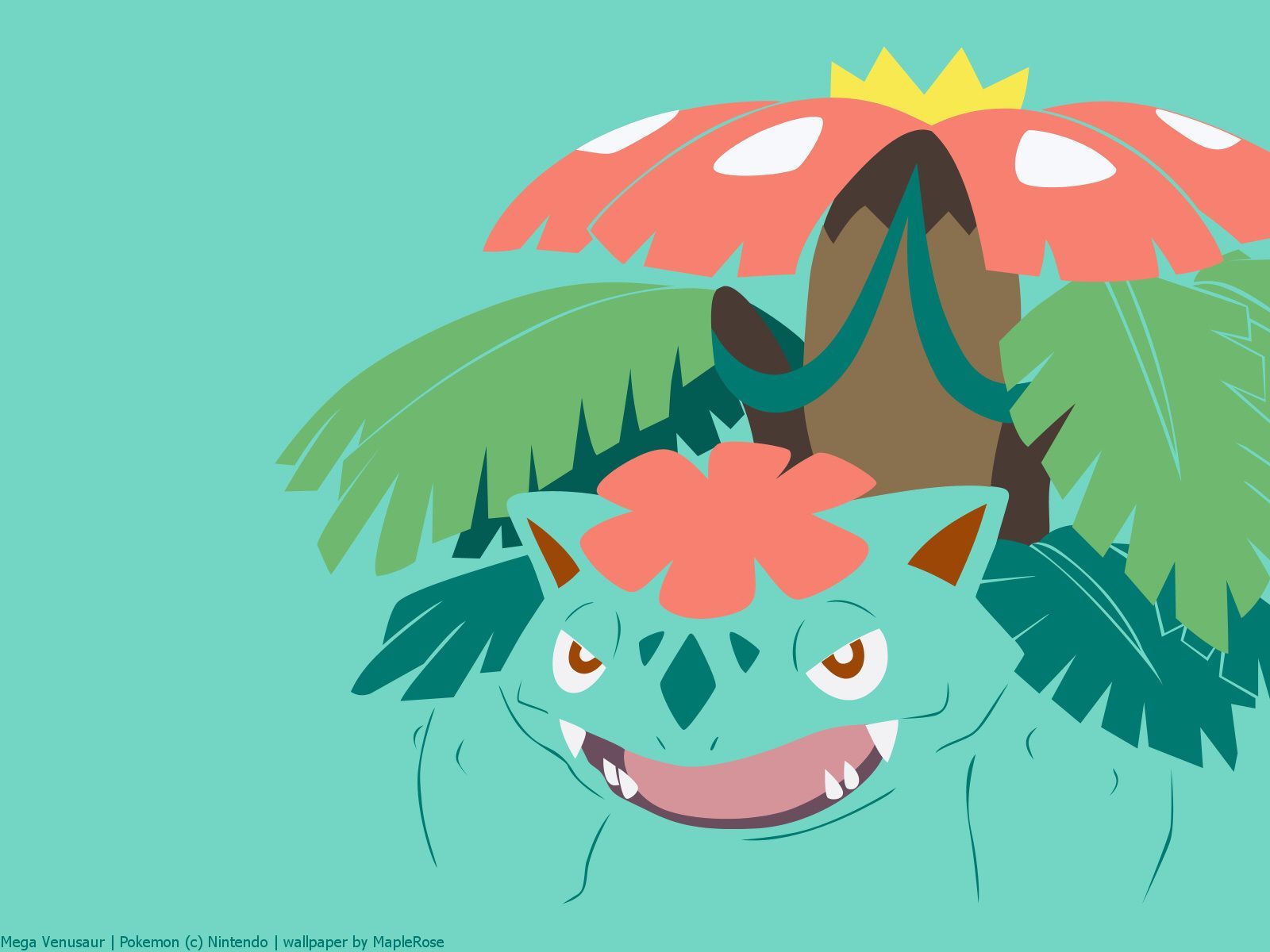 Venusaur Hd Wallpapers