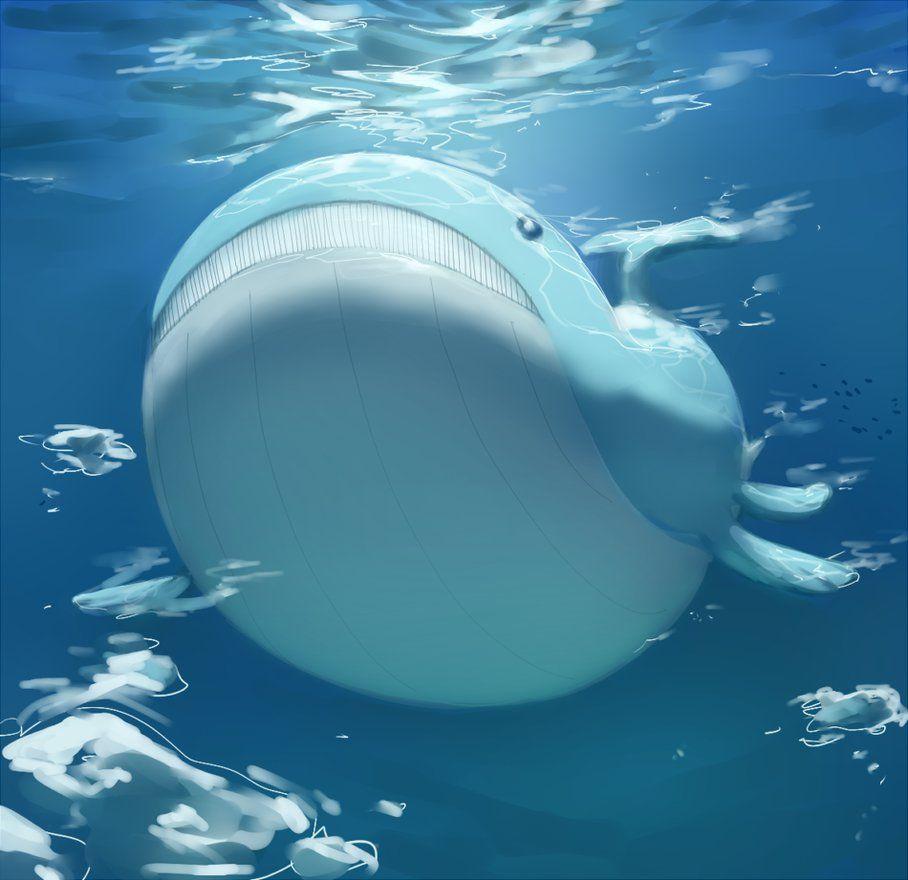 Wailord Hd Wallpapers