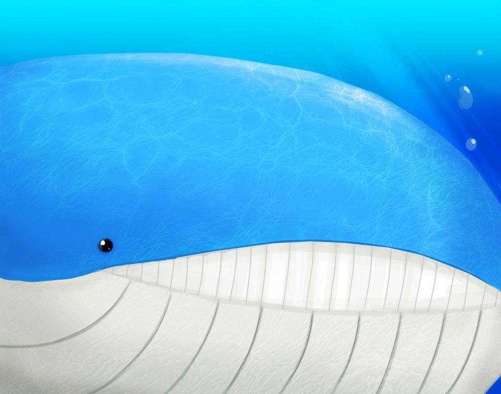 Wailord Hd Wallpapers