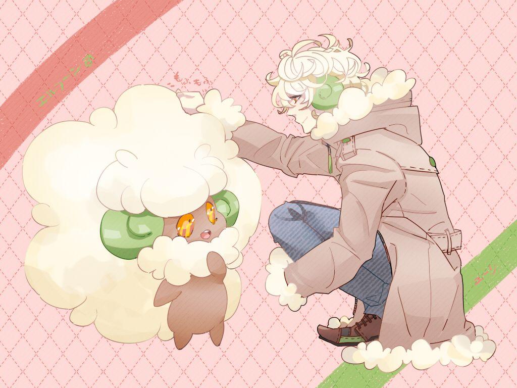 Whimsicott Hd Wallpapers