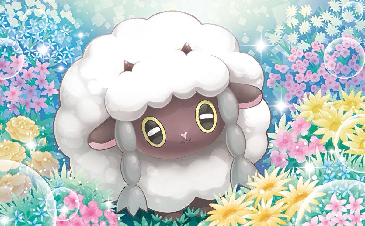 Wooloo Hd Wallpapers