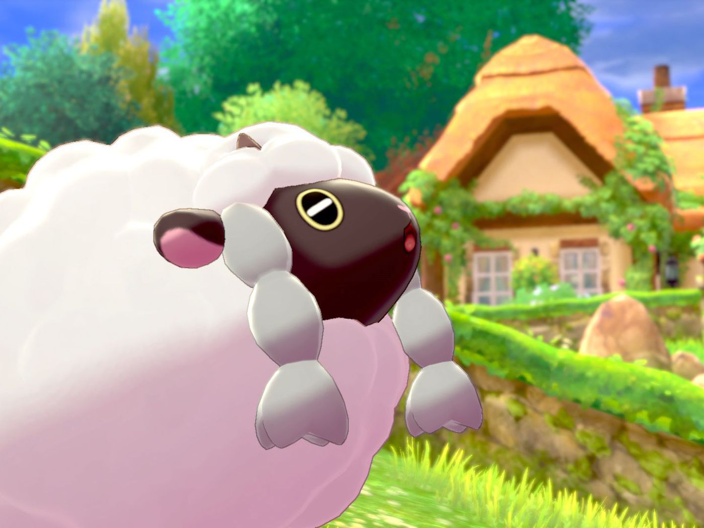 Wooloo Hd Wallpapers