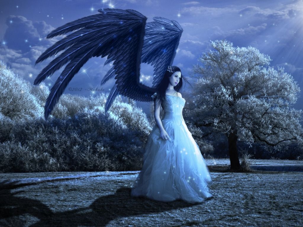 Beautiful Angel Hd Wallpapers Wallpapers