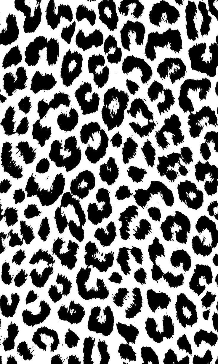 Beautiful Animal Print Wallpapers