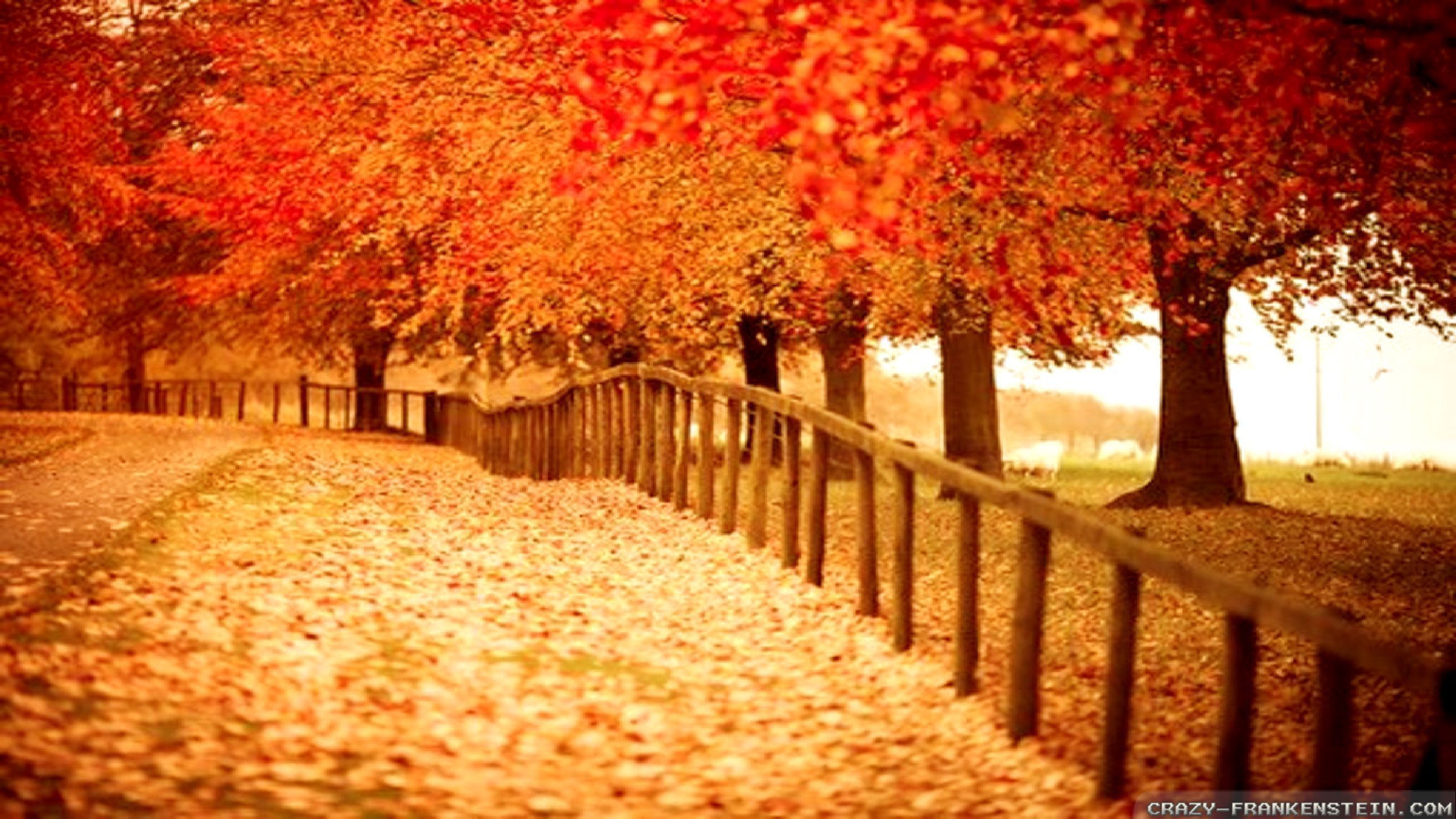 Beautiful Autumn Desktop Wallpapers