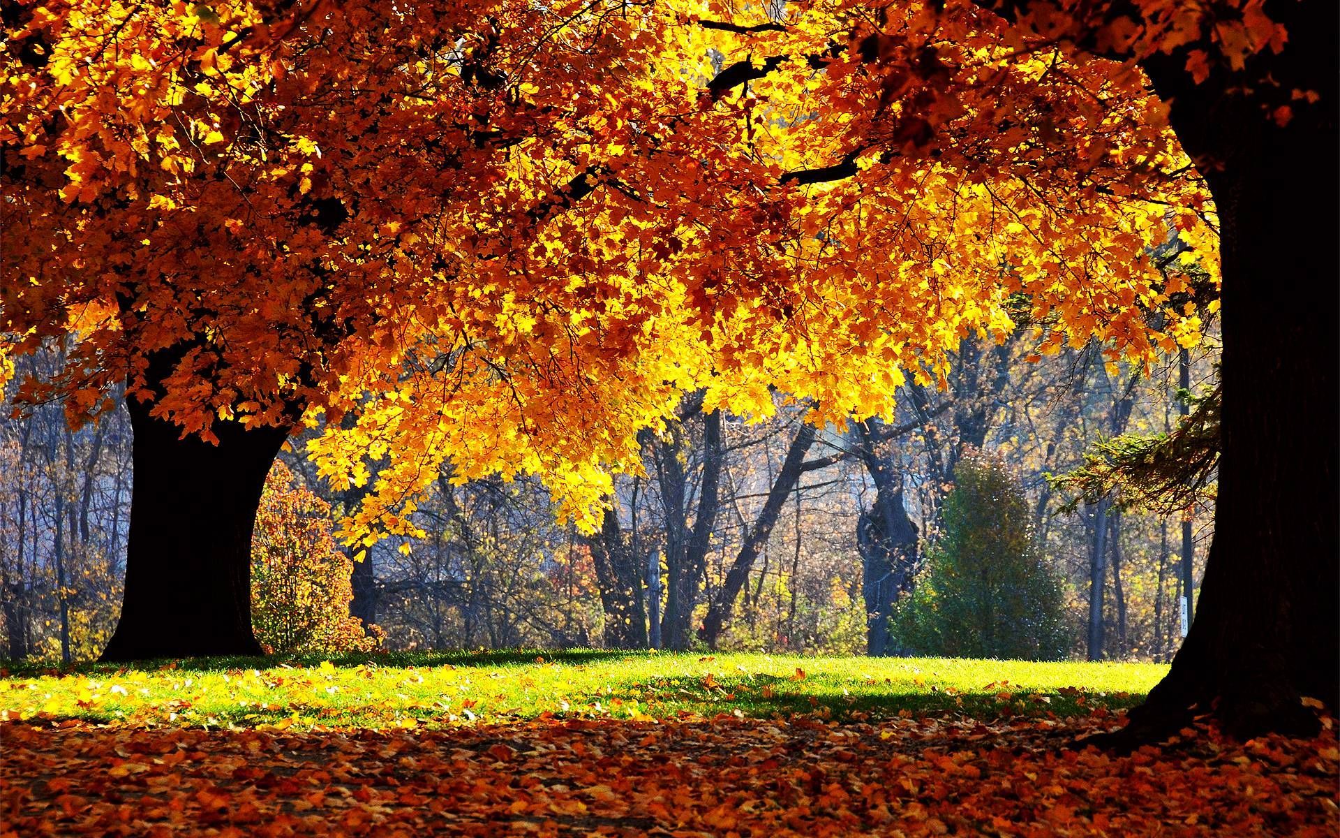 Beautiful Autumn Desktop Wallpapers