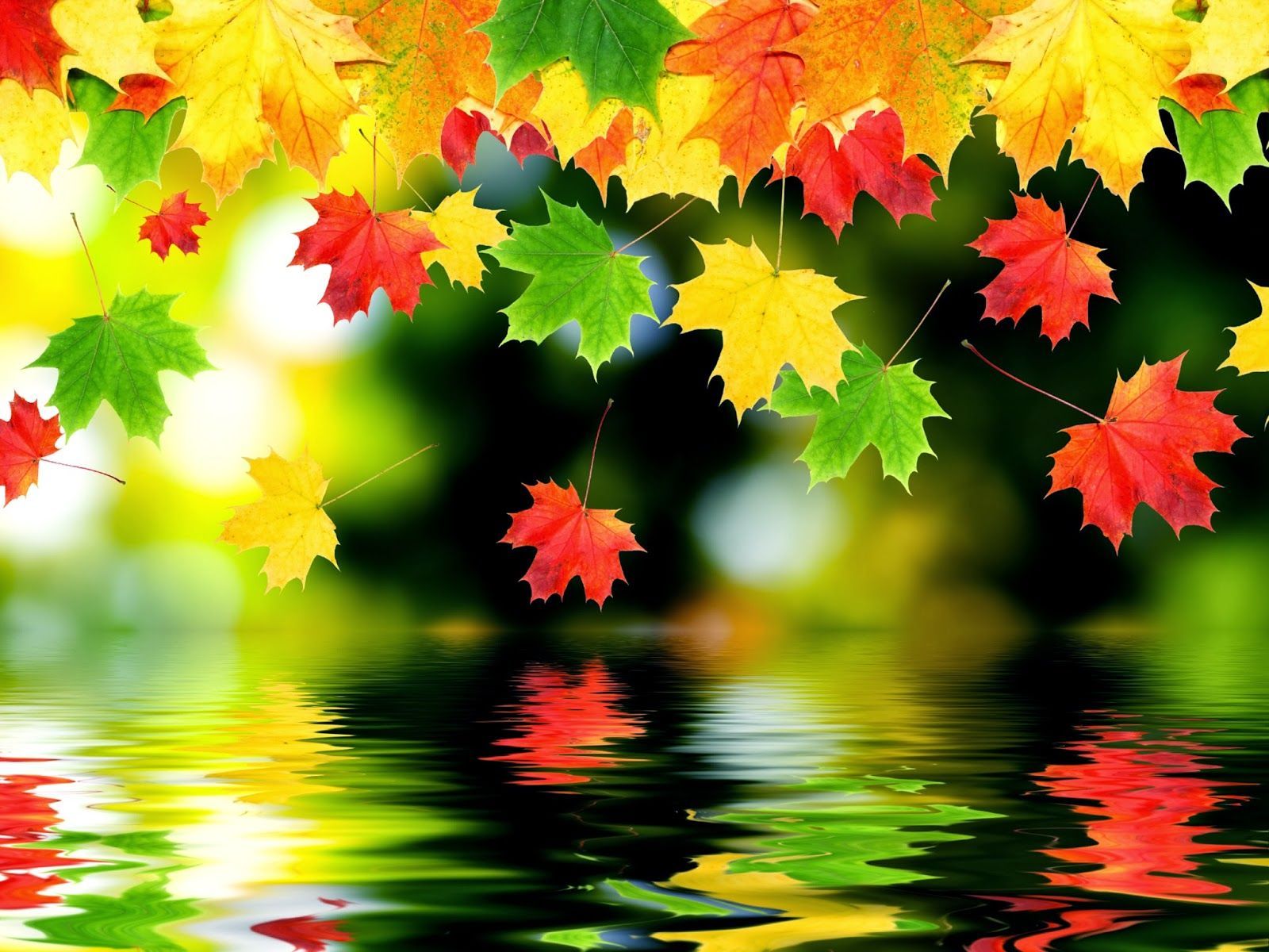 Beautiful Autumn Desktop Wallpapers