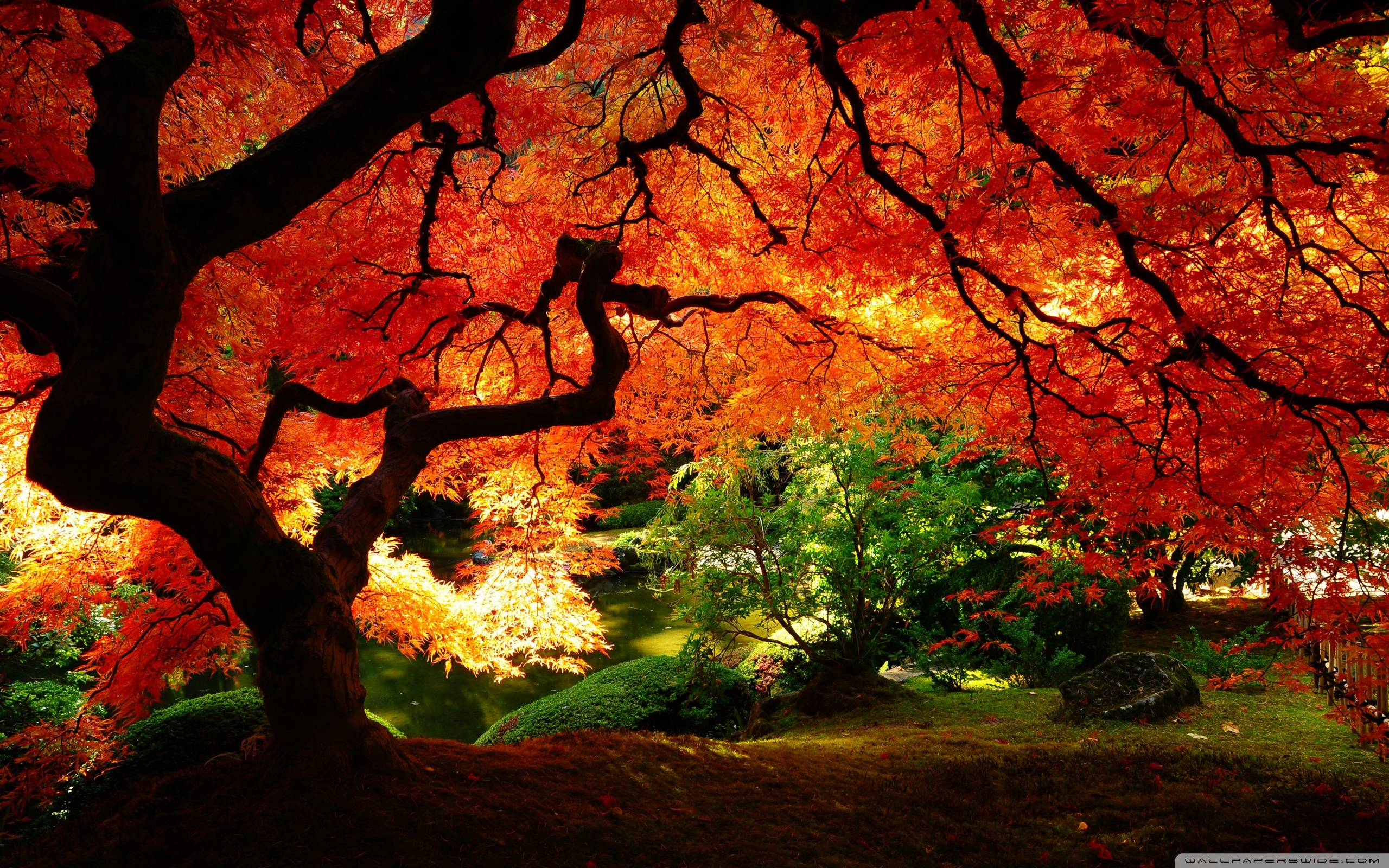 Beautiful Autumn Desktop Wallpapers