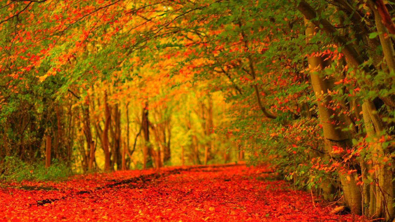 Beautiful Autumn Desktop Wallpapers