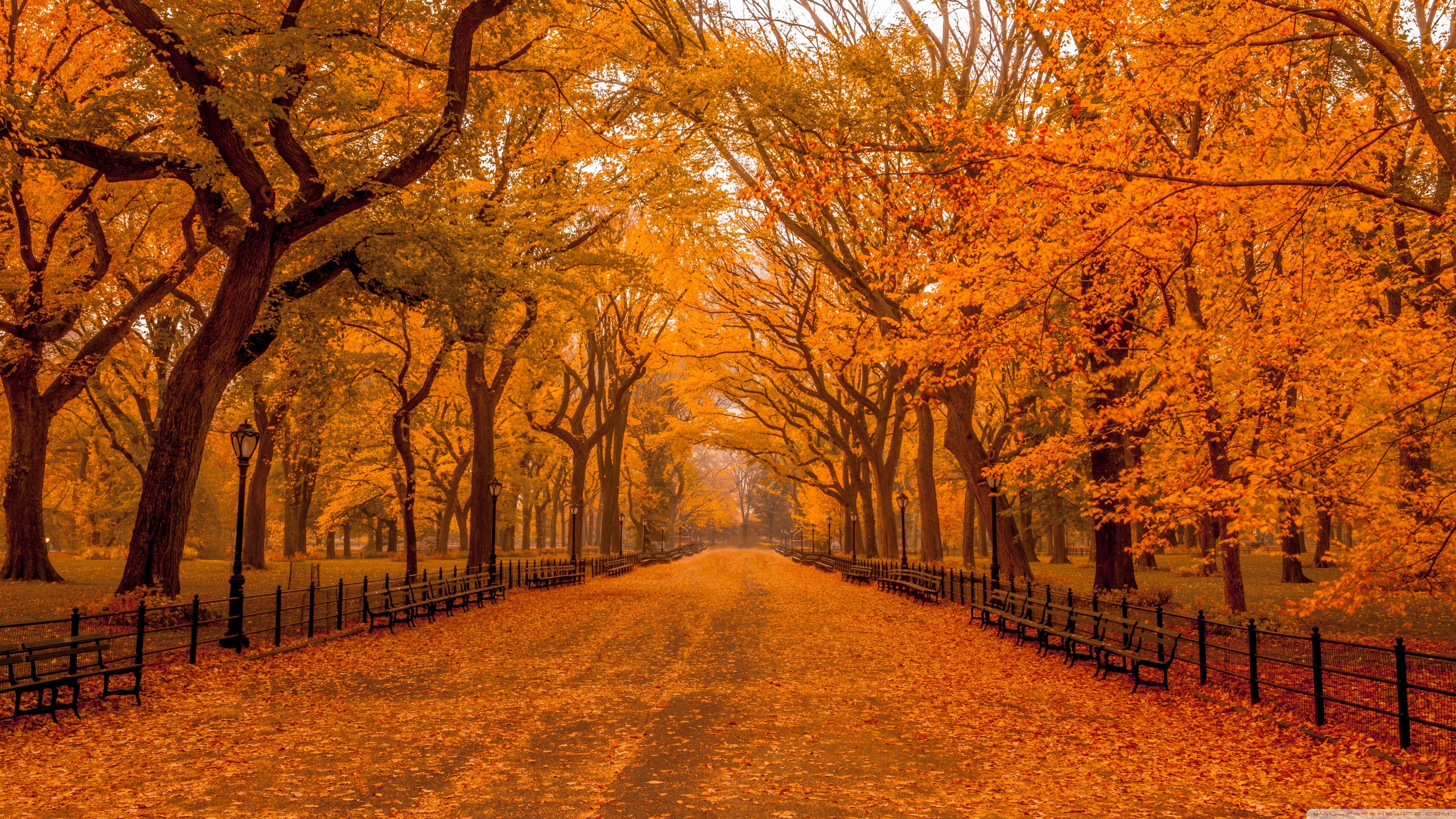 Beautiful Autumn Desktop Wallpapers