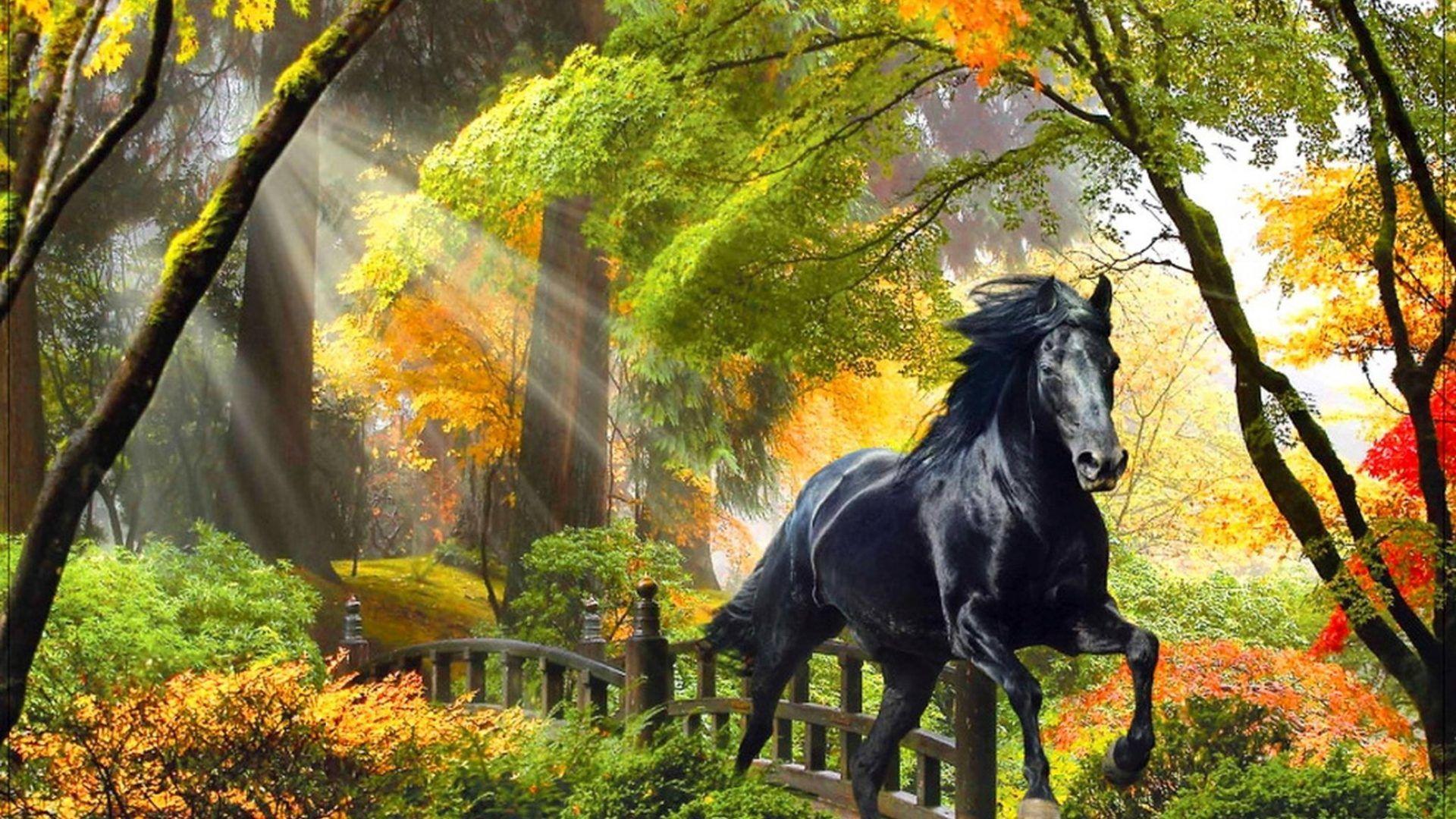 Beautiful Autumn Horses Wallpapers Wallpapers