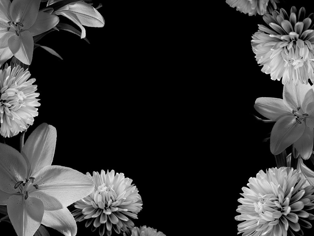 Beautiful Black And White Flower Wallpapers