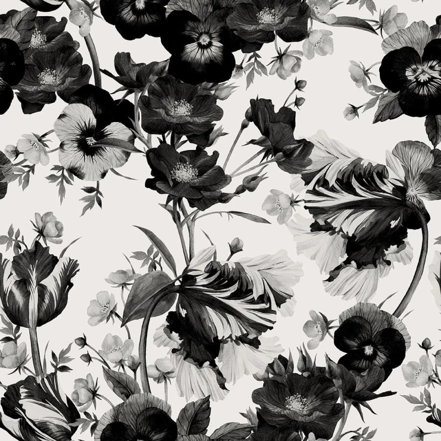 Beautiful Black And White Flower Wallpapers