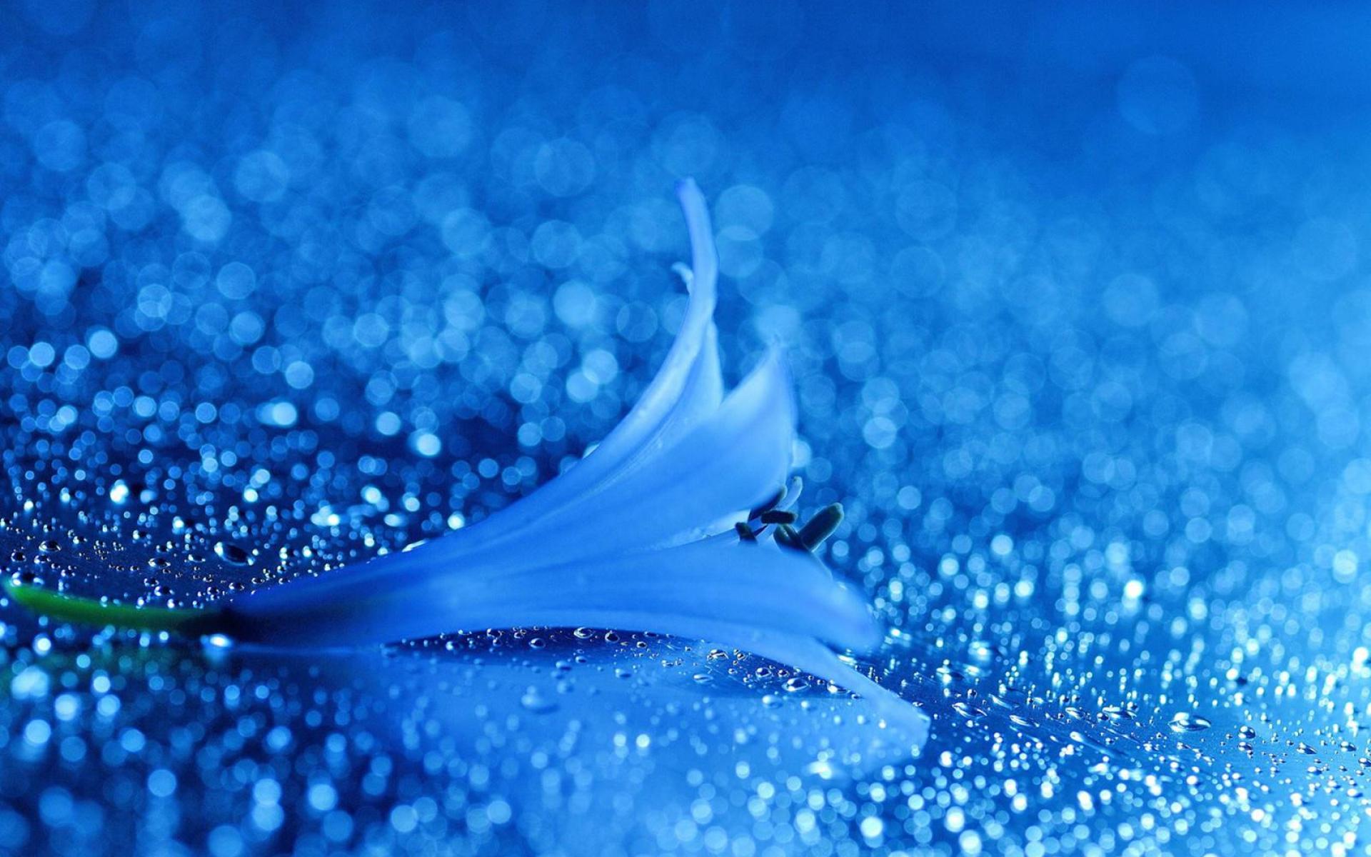 Beautiful Blue Wallpapers