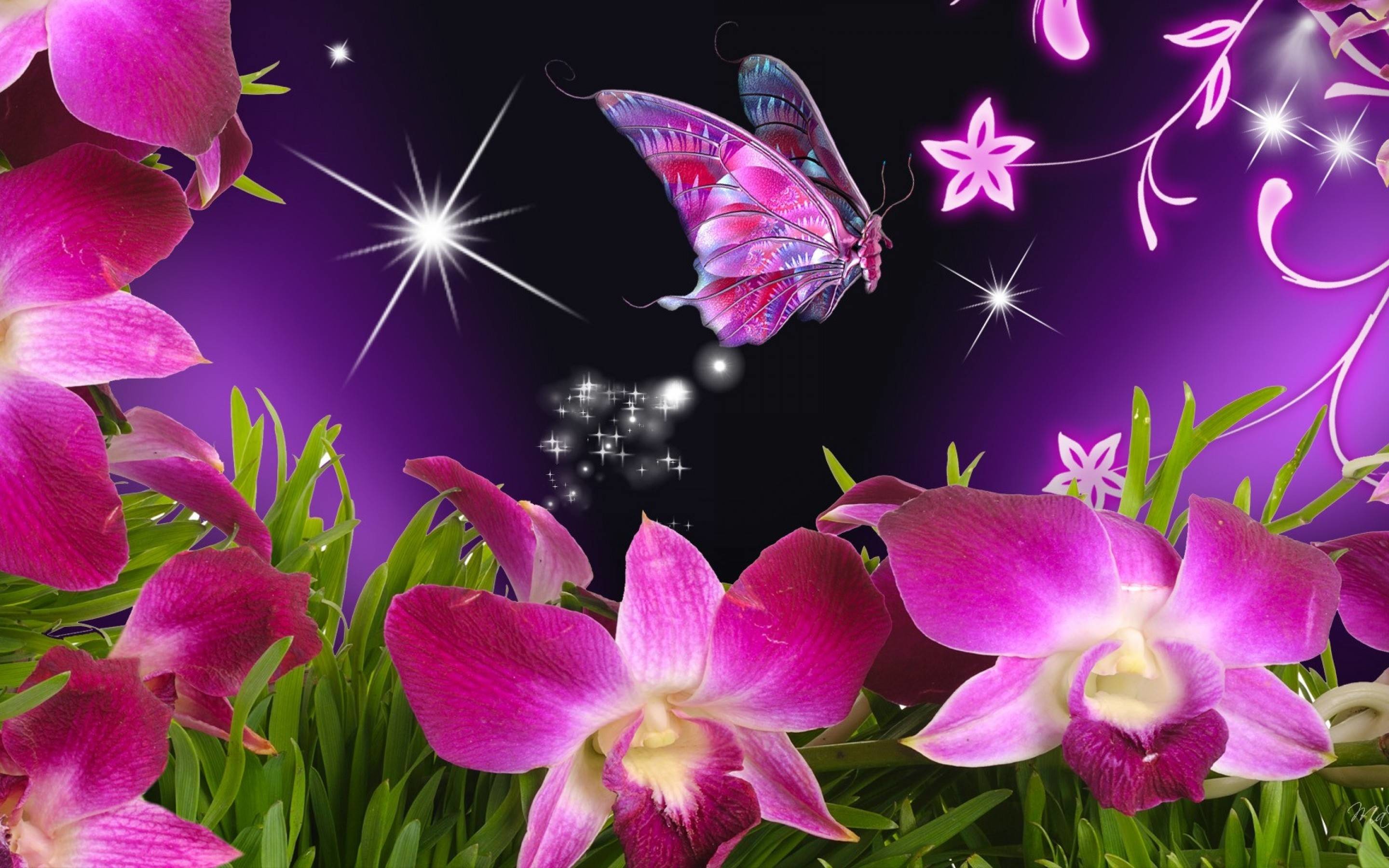 Beautiful Butterfly Wallpapers