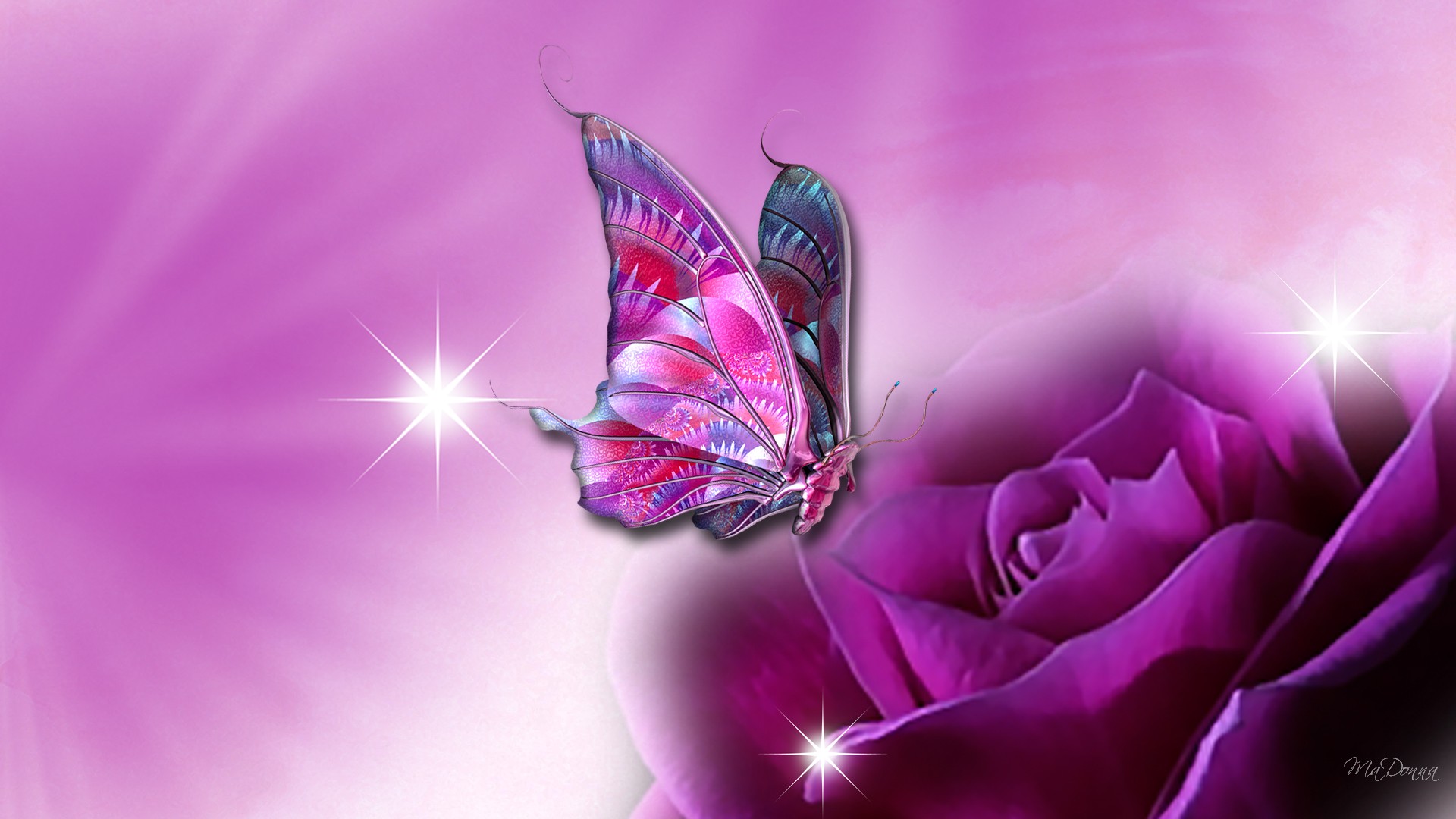 Beautiful Butterfly Wallpapers