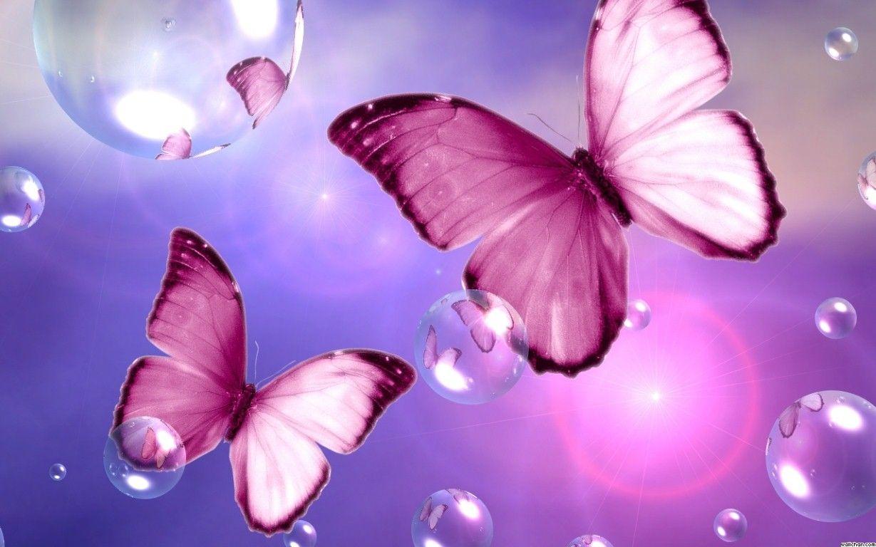 Beautiful Butterfly Wallpapers