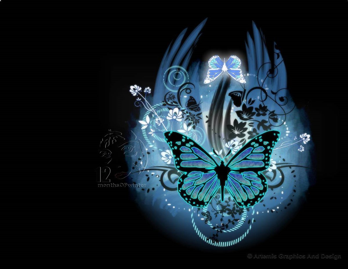 Beautiful Butterfly Wallpapers