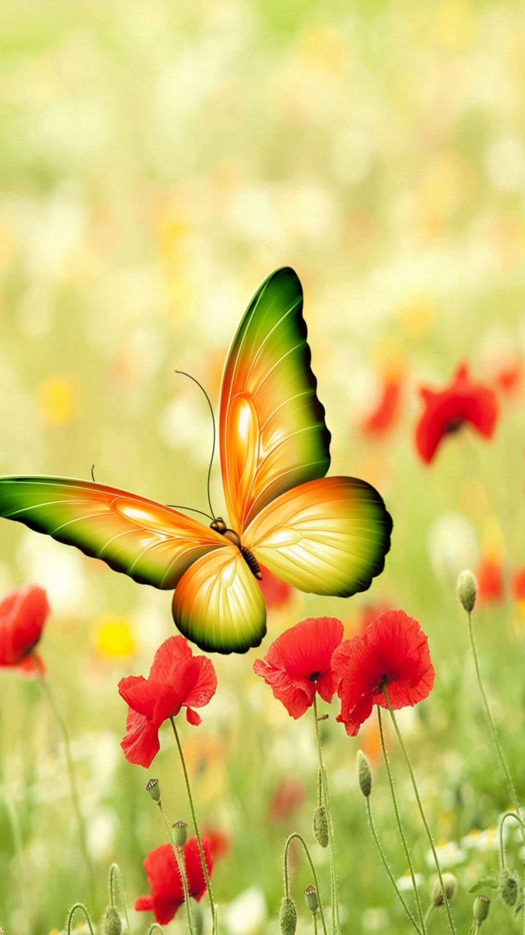 Beautiful Butterfly Iphone Wallpapers