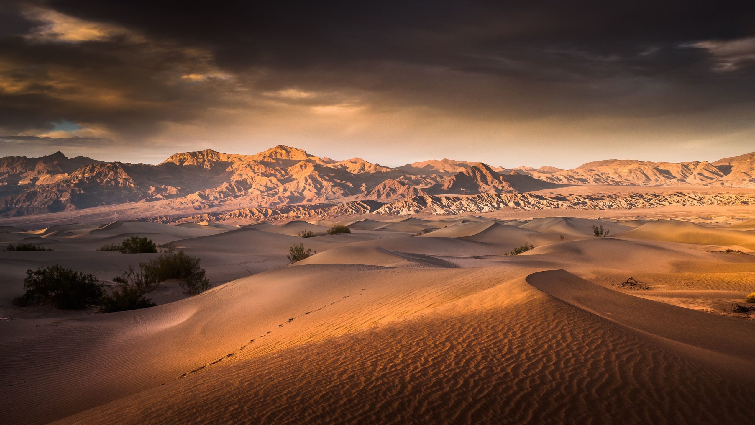 Beautiful Desert Wallpapers Wallpapers