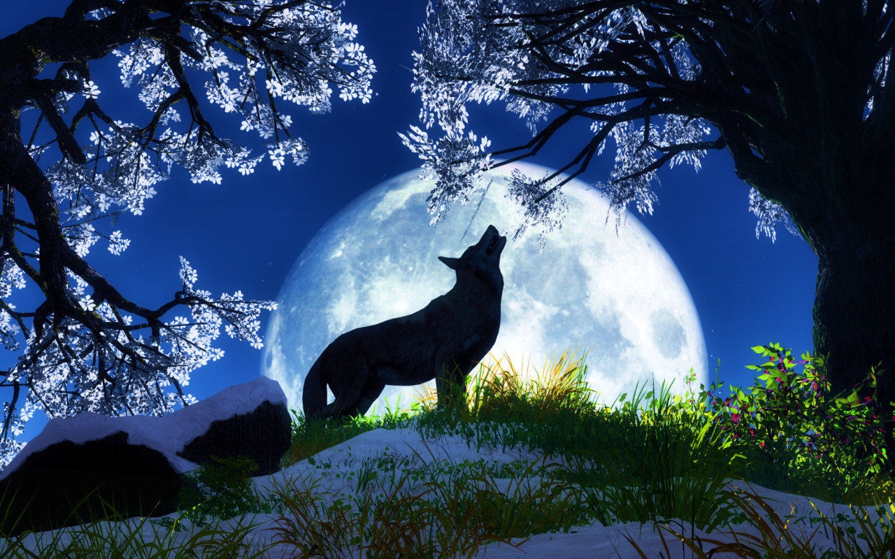 Beautiful Desktop Animal Wallpapers