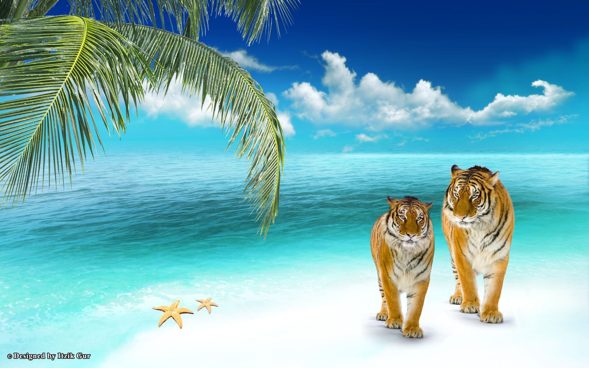 Beautiful Desktop Animal Wallpapers