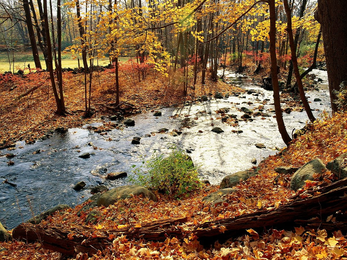 Beautiful Fall Cabin Desktop Wallpapers