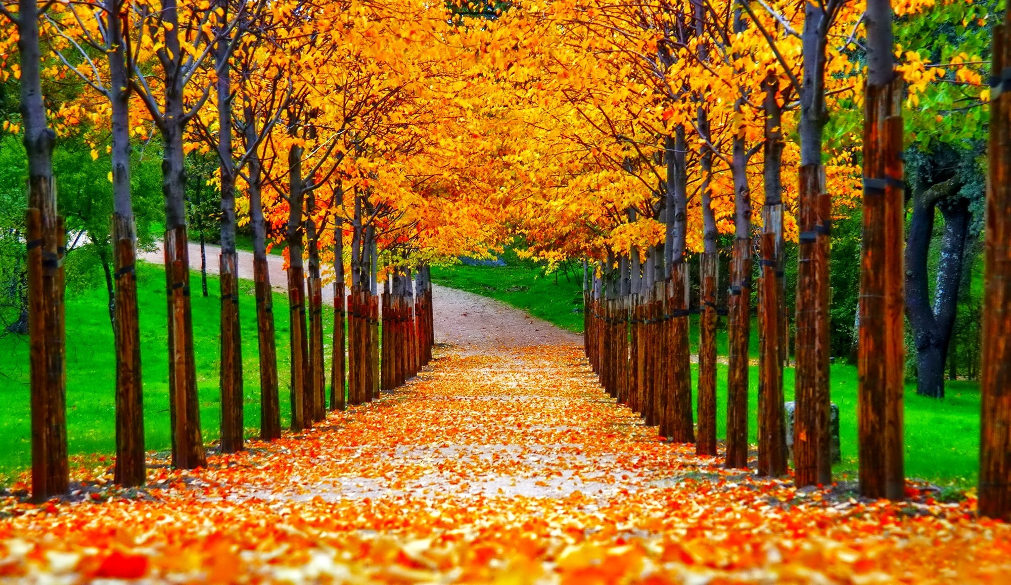 Beautiful Fall Pictures Wallpapers