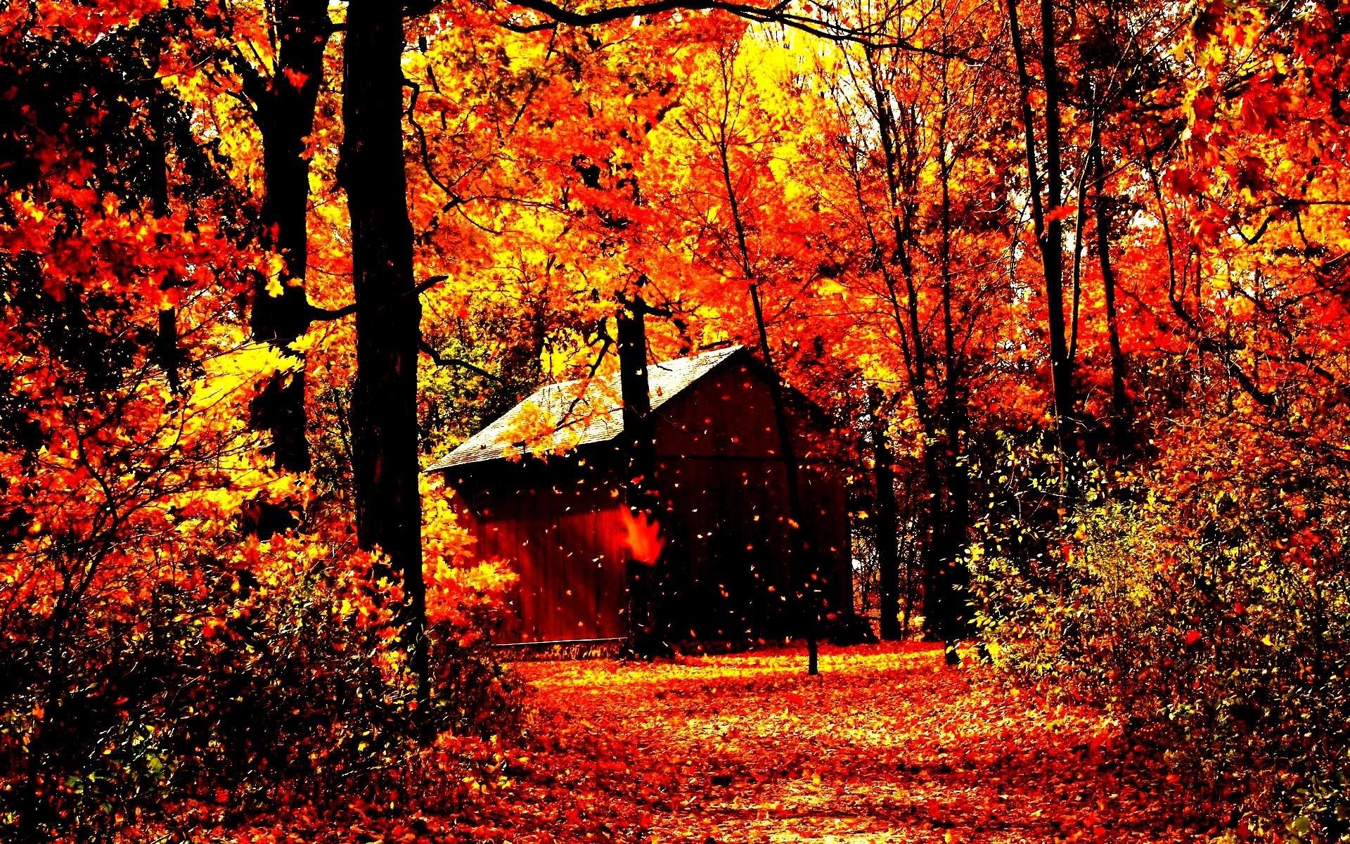 Beautiful Fall Pictures Wallpapers