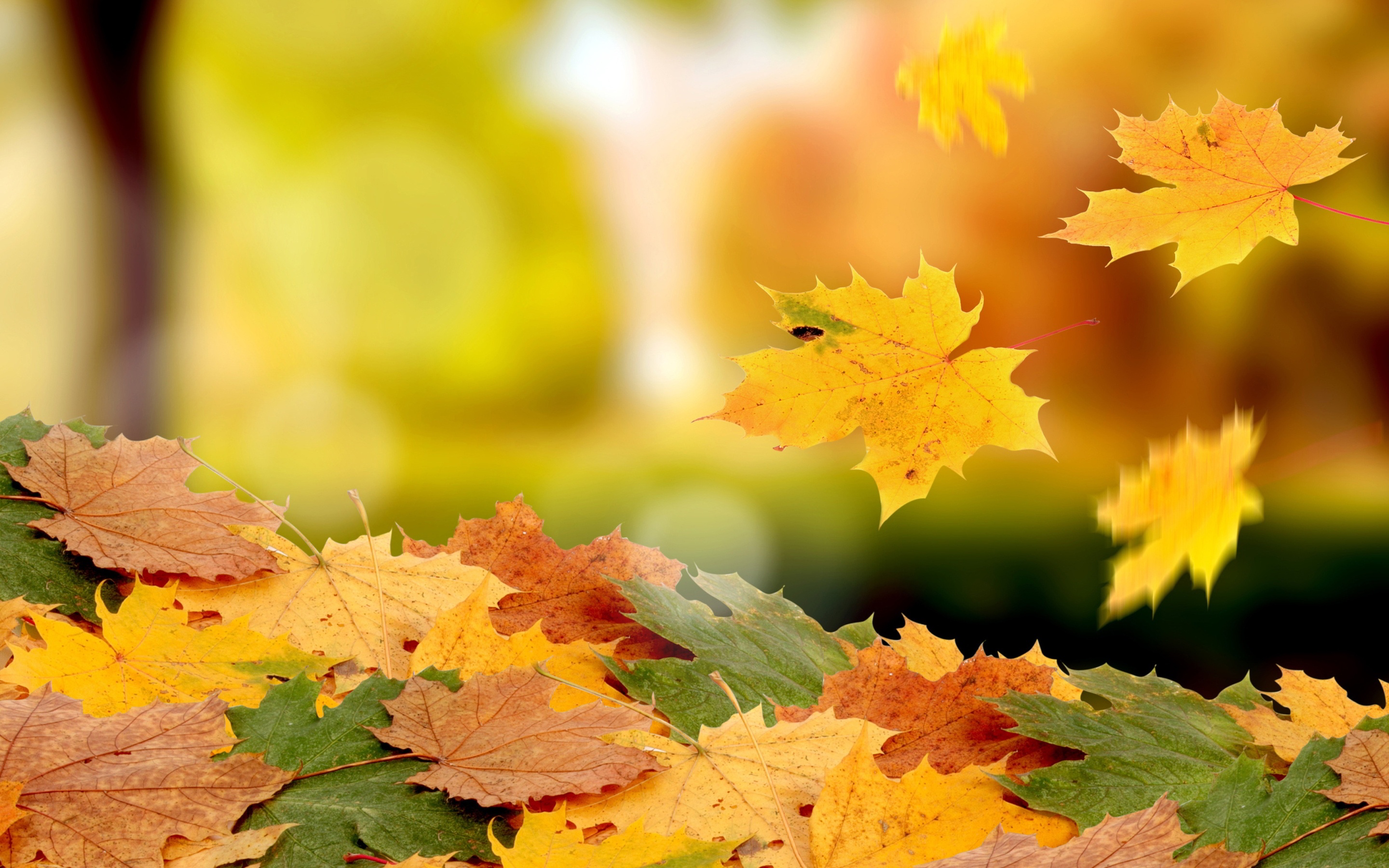 Beautiful Fall Pictures Wallpapers