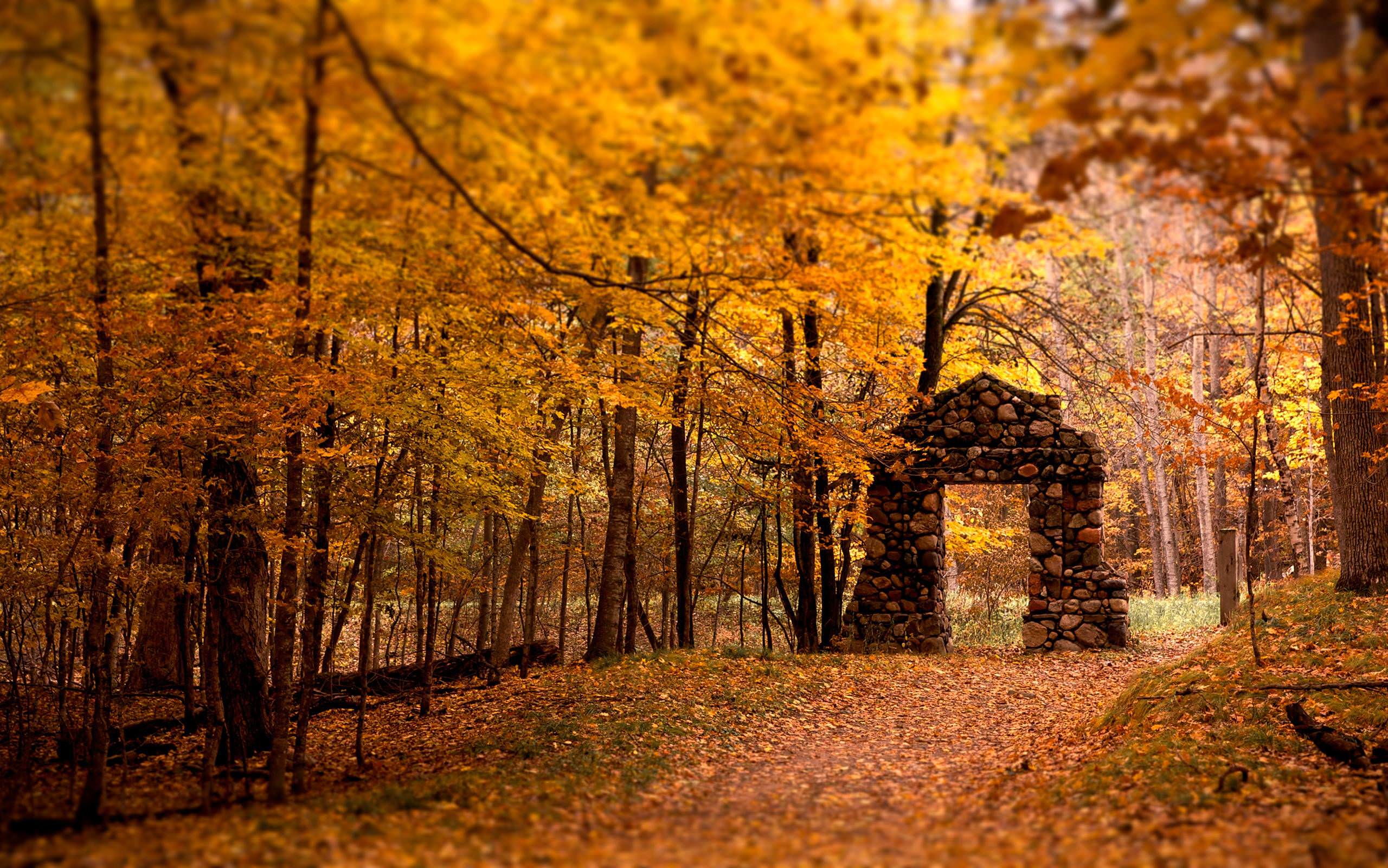 Beautiful Fall Pictures Wallpapers