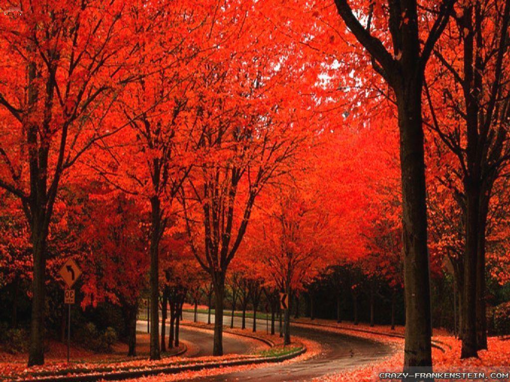 Beautiful Fall Pictures Wallpapers Wallpapers