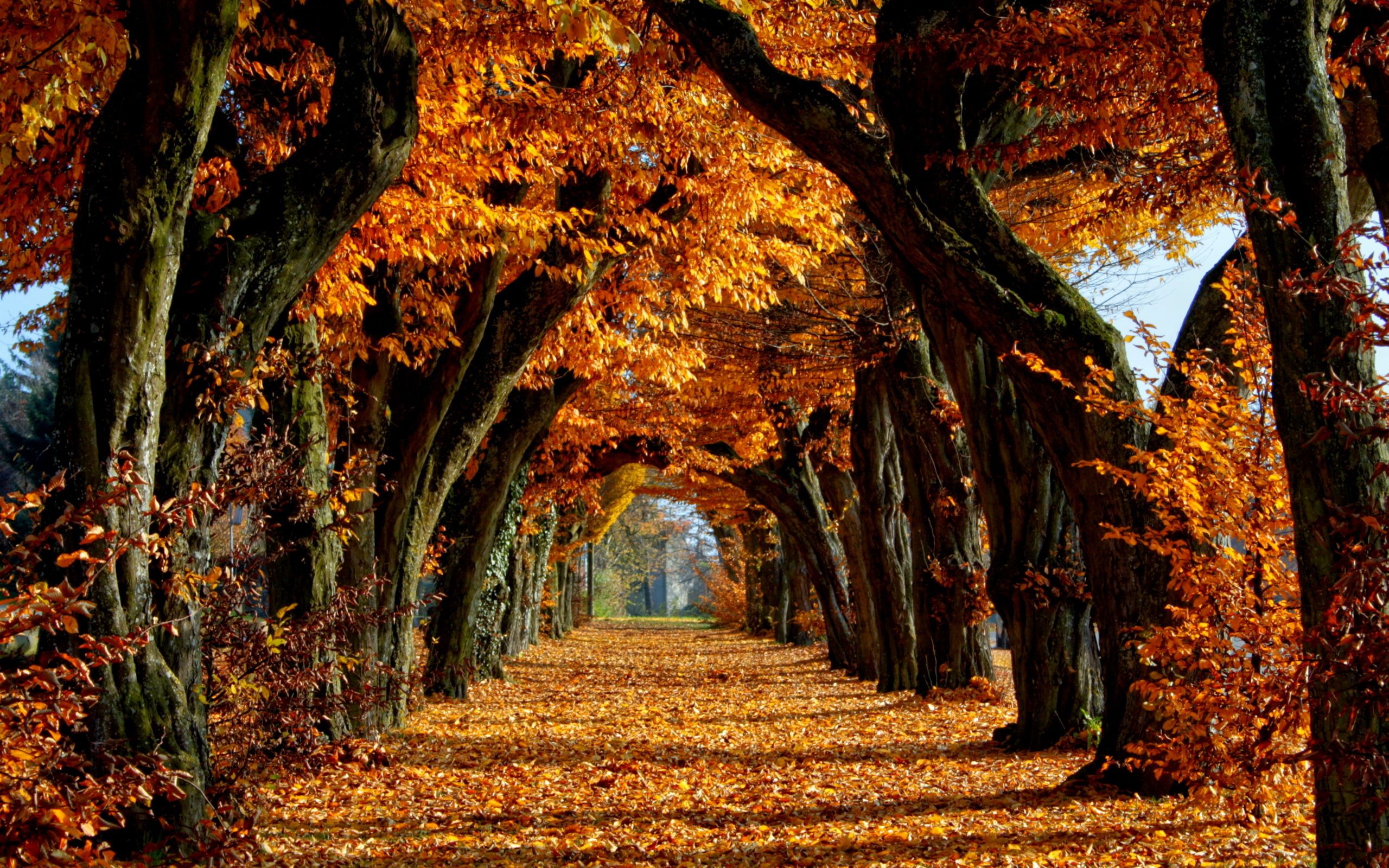 Beautiful Fall Pictures Wallpapers Wallpapers