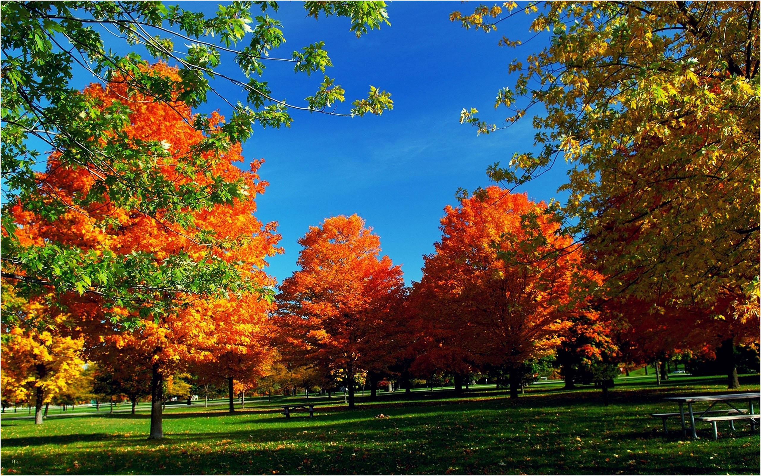 Beautiful Fall Pictures Wallpapers Wallpapers