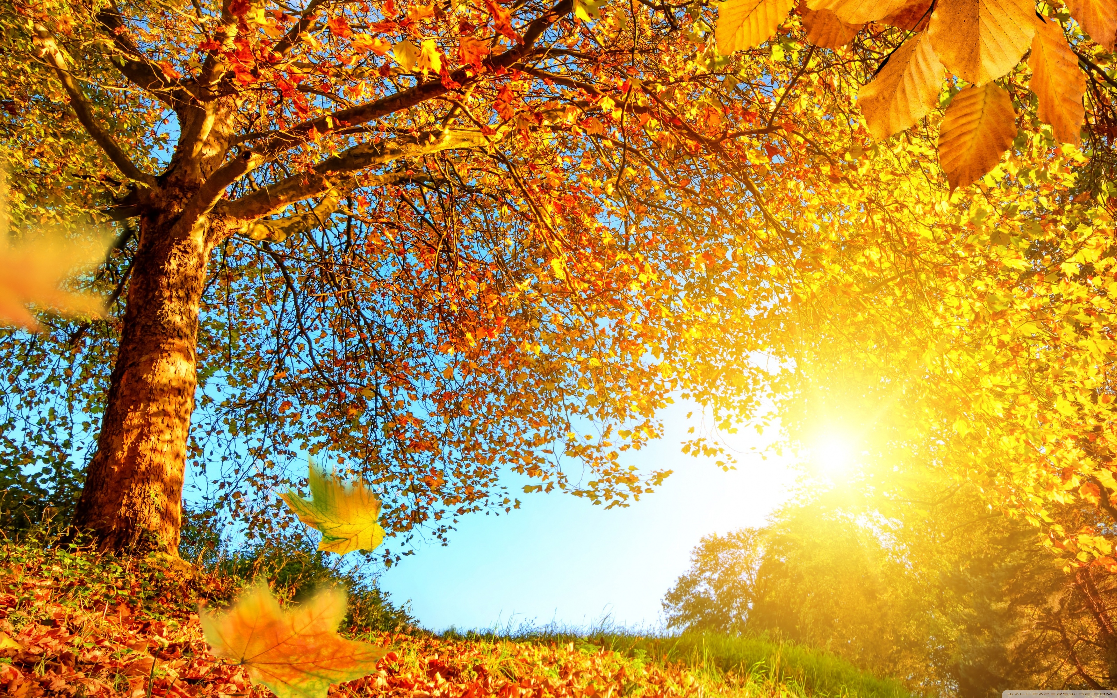 Beautiful Fall Pictures Wallpapers Wallpapers