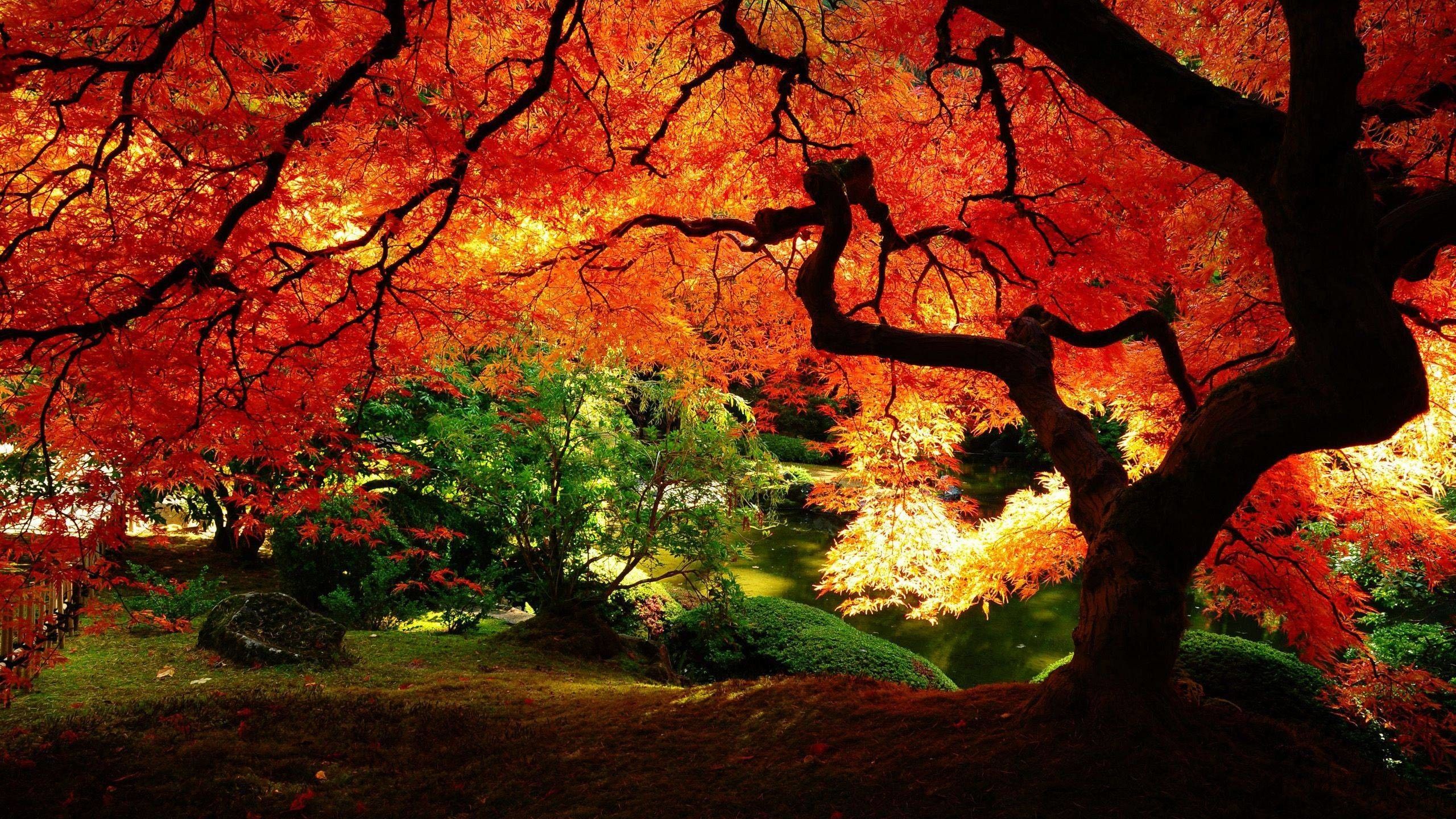 Beautiful Fall Pictures Wallpapers Wallpapers