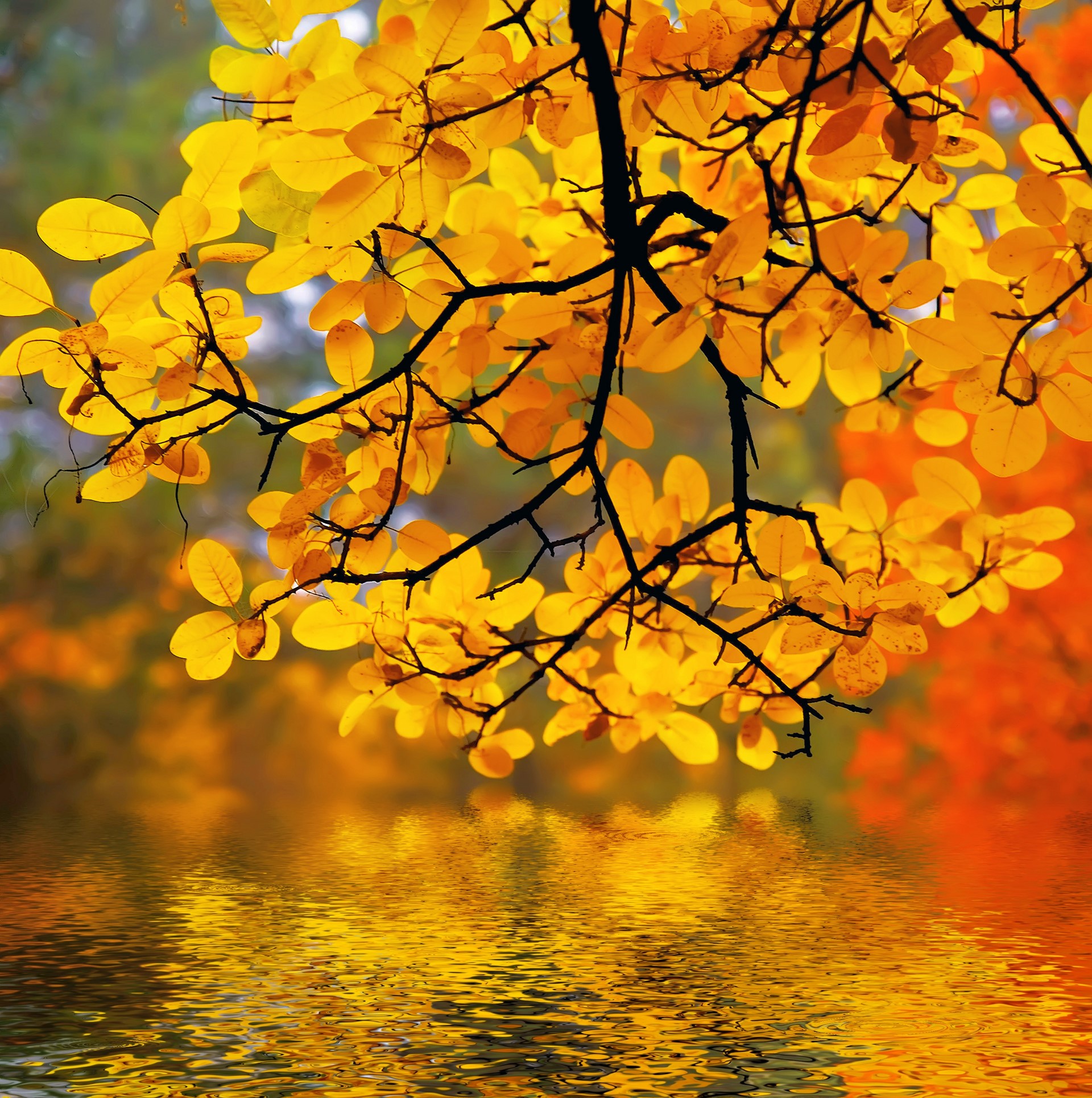 Beautiful Fall Pictures Wallpapers Wallpapers