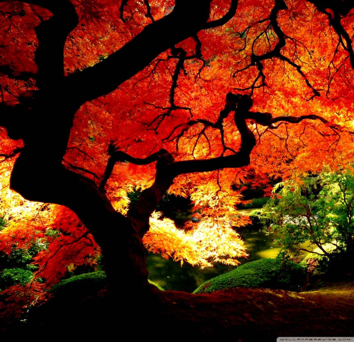 Beautiful Fall Pictures Wallpapers Wallpapers