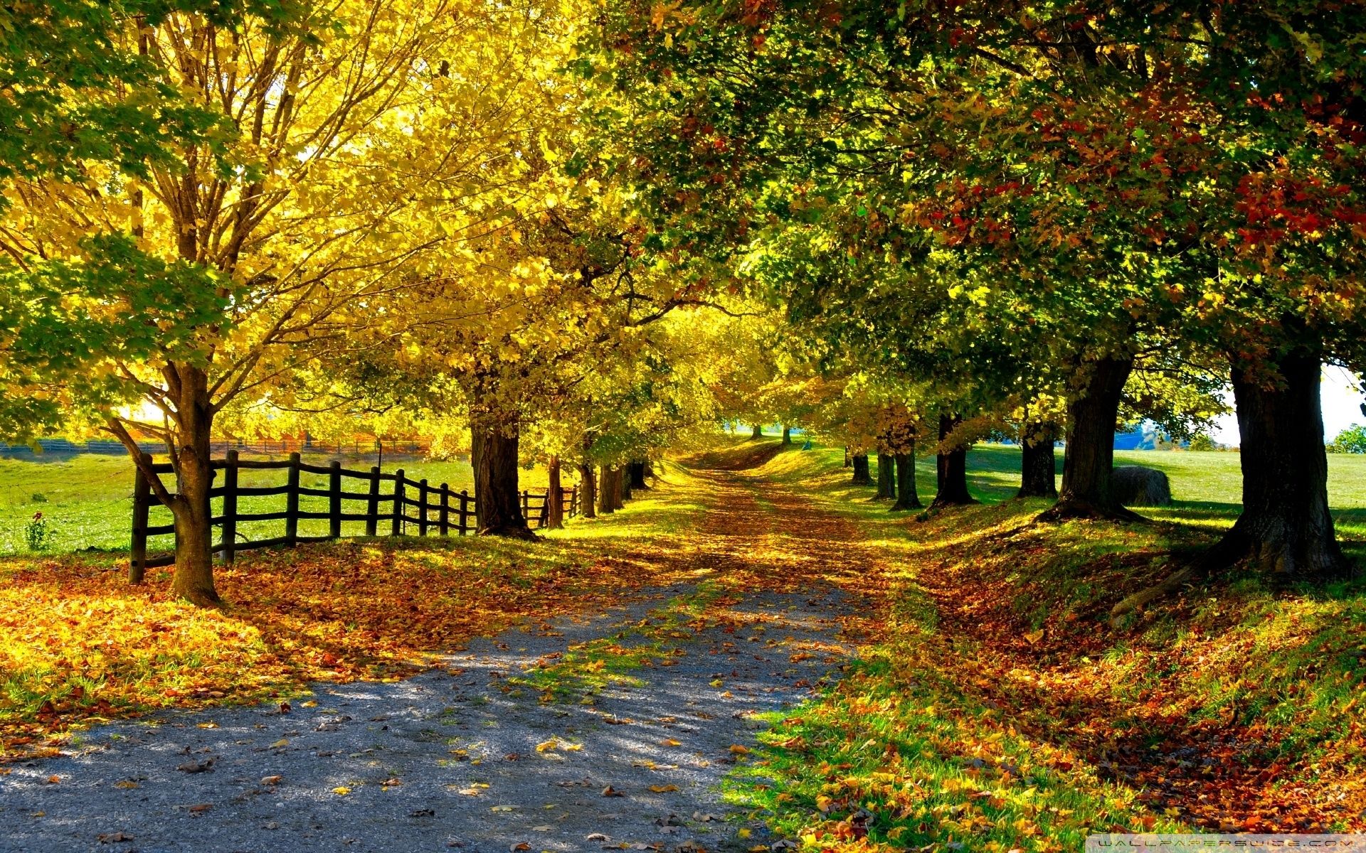 Beautiful Fall Pictures Wallpapers Wallpapers