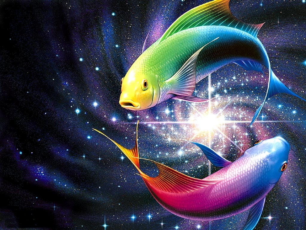 Beautiful Fish Wallpapers