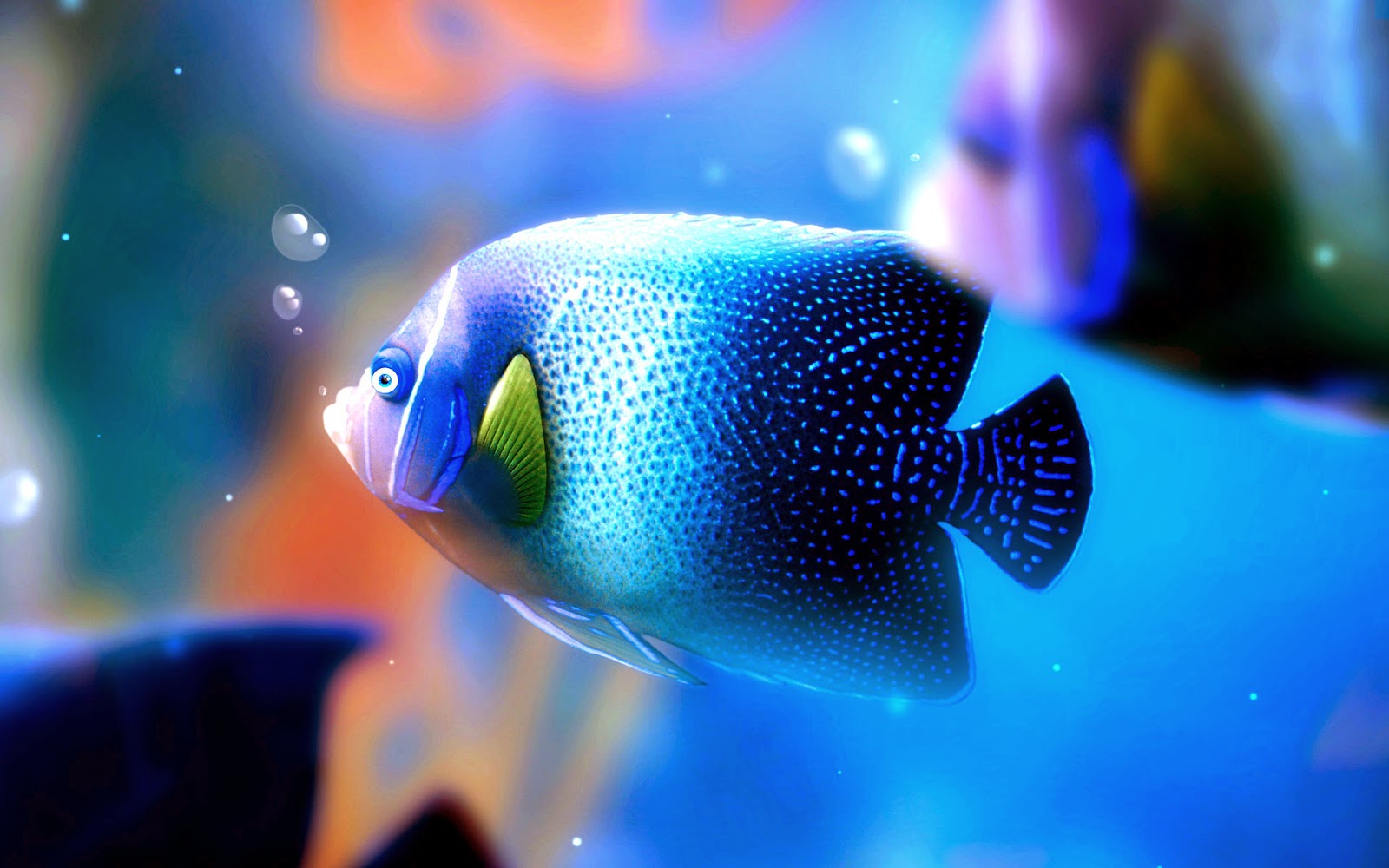 Beautiful Fish Wallpapers