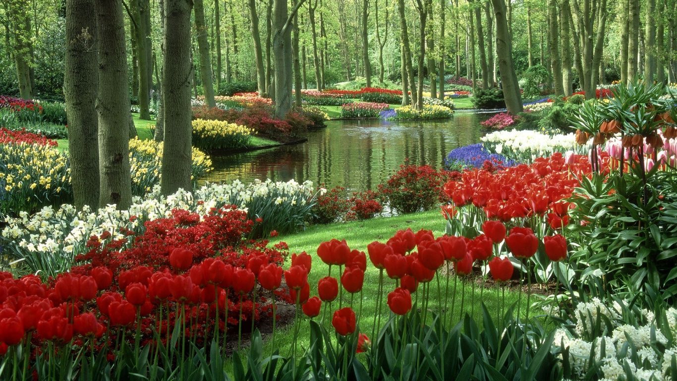 Beautiful Flower Garden Wallpapers