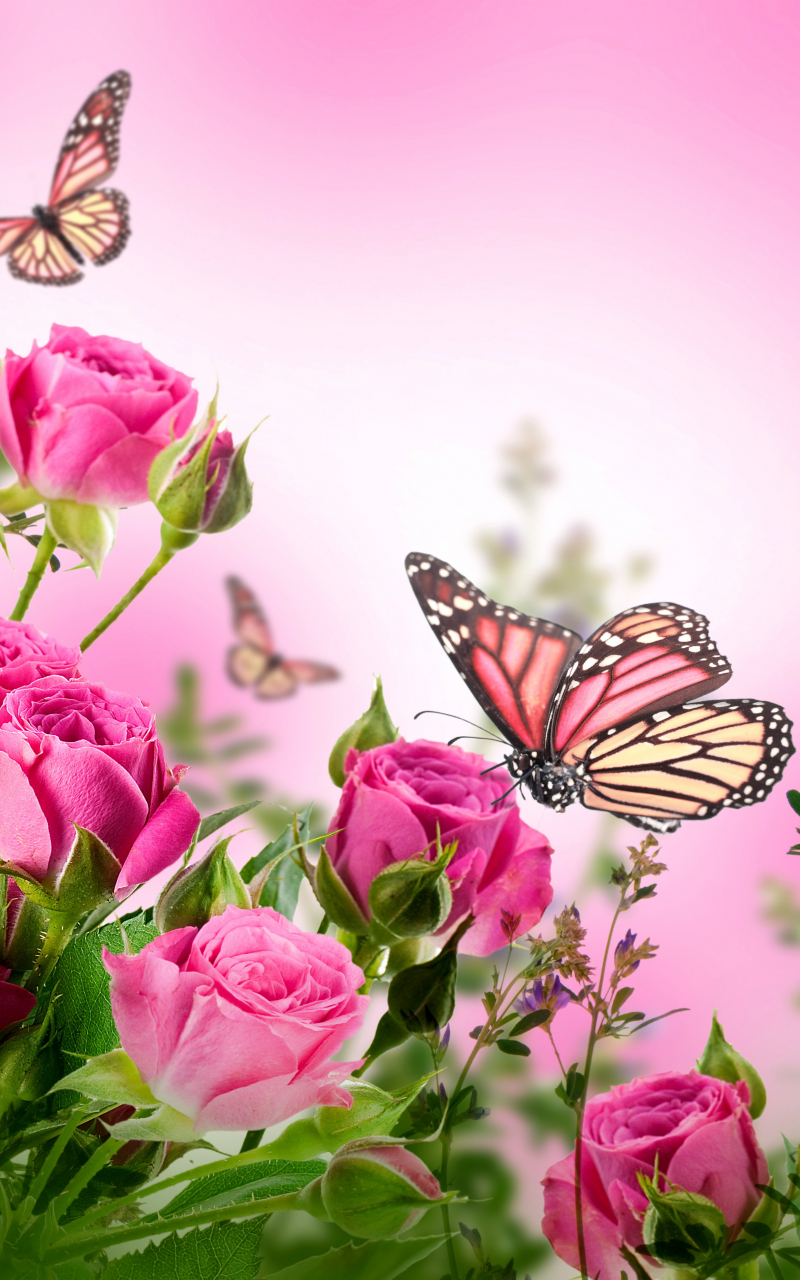 Beautiful Flowers Wallpaper Wallpapers