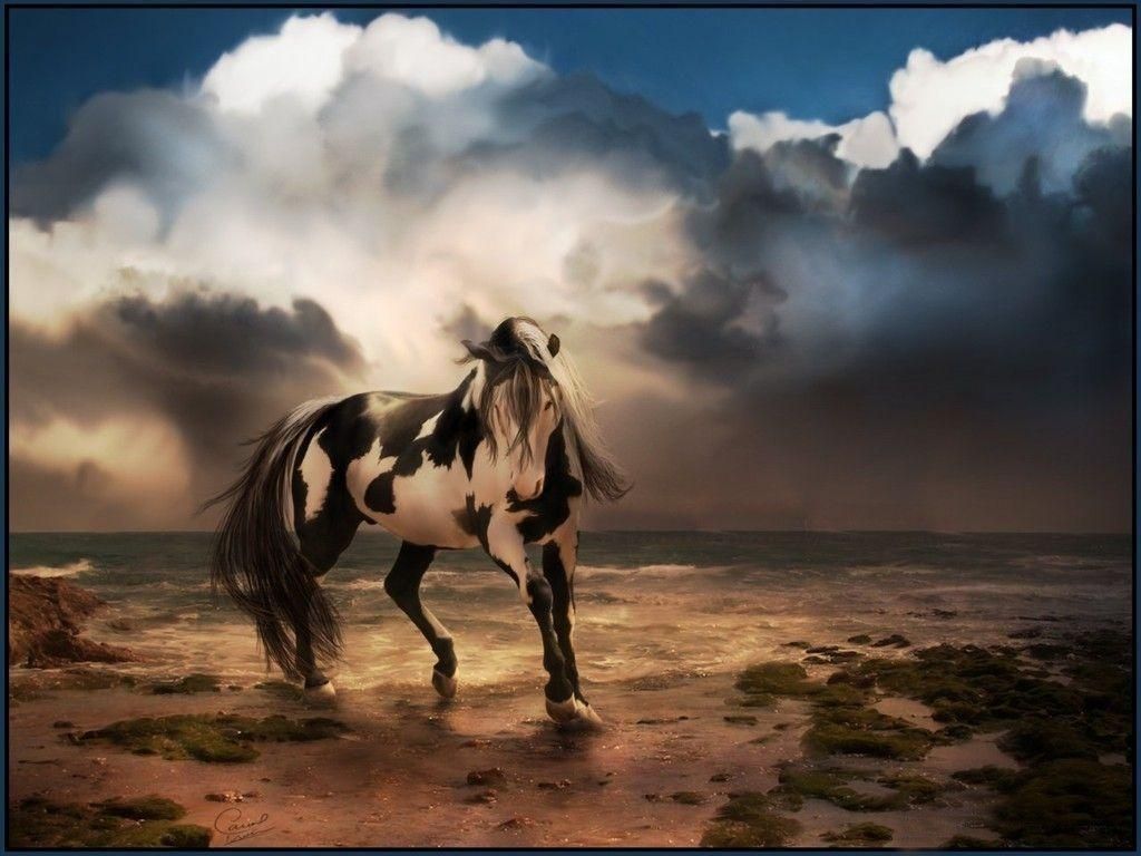 Beautiful Horse Desktop Wallpapers Wallpapers