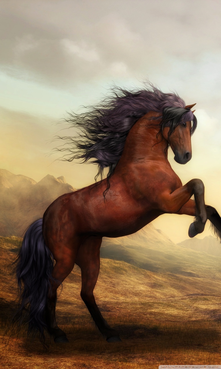 Beautiful Horse Desktop Wallpapers Wallpapers