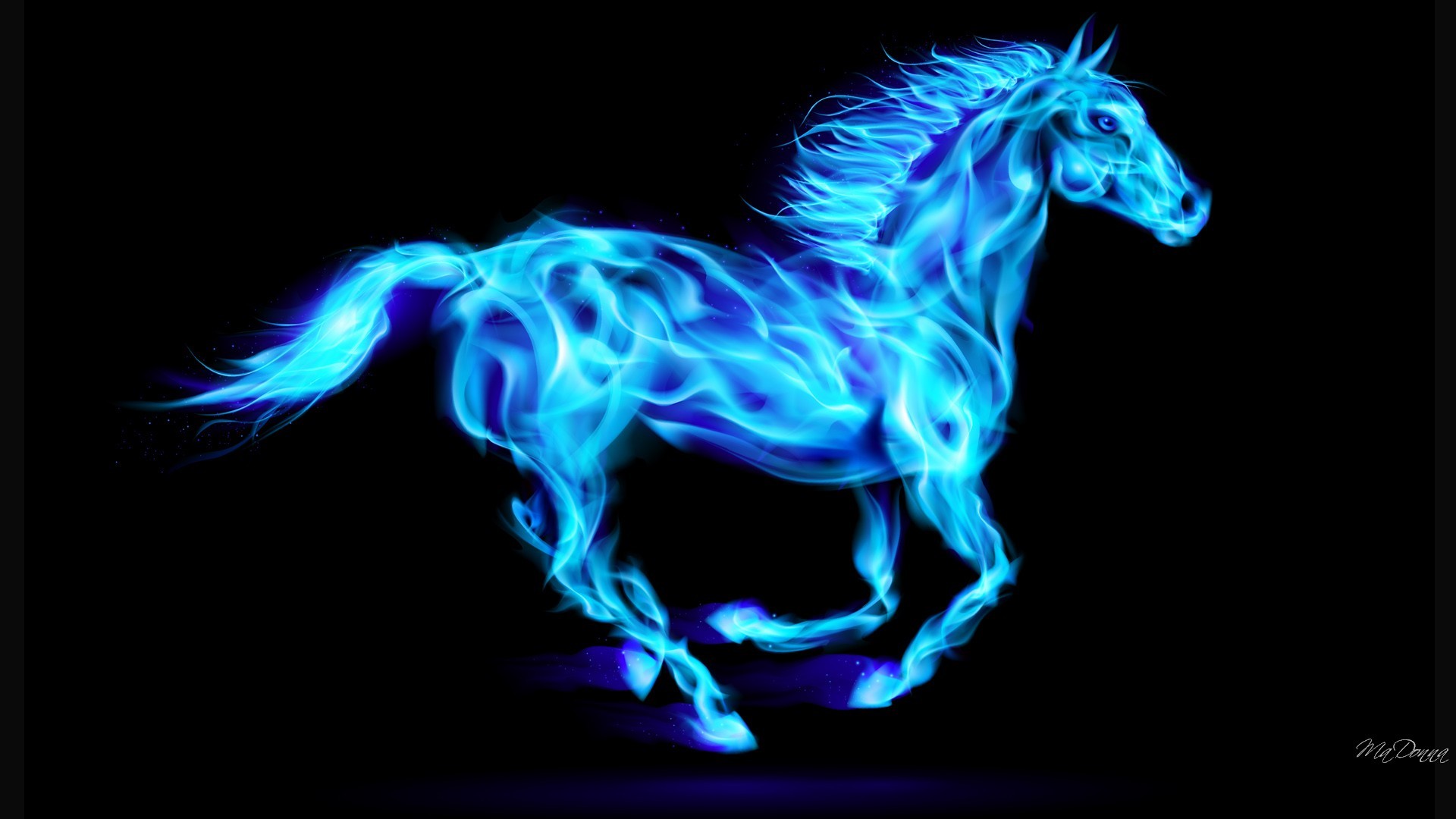 Beautiful Horse Desktop Wallpapers Wallpapers