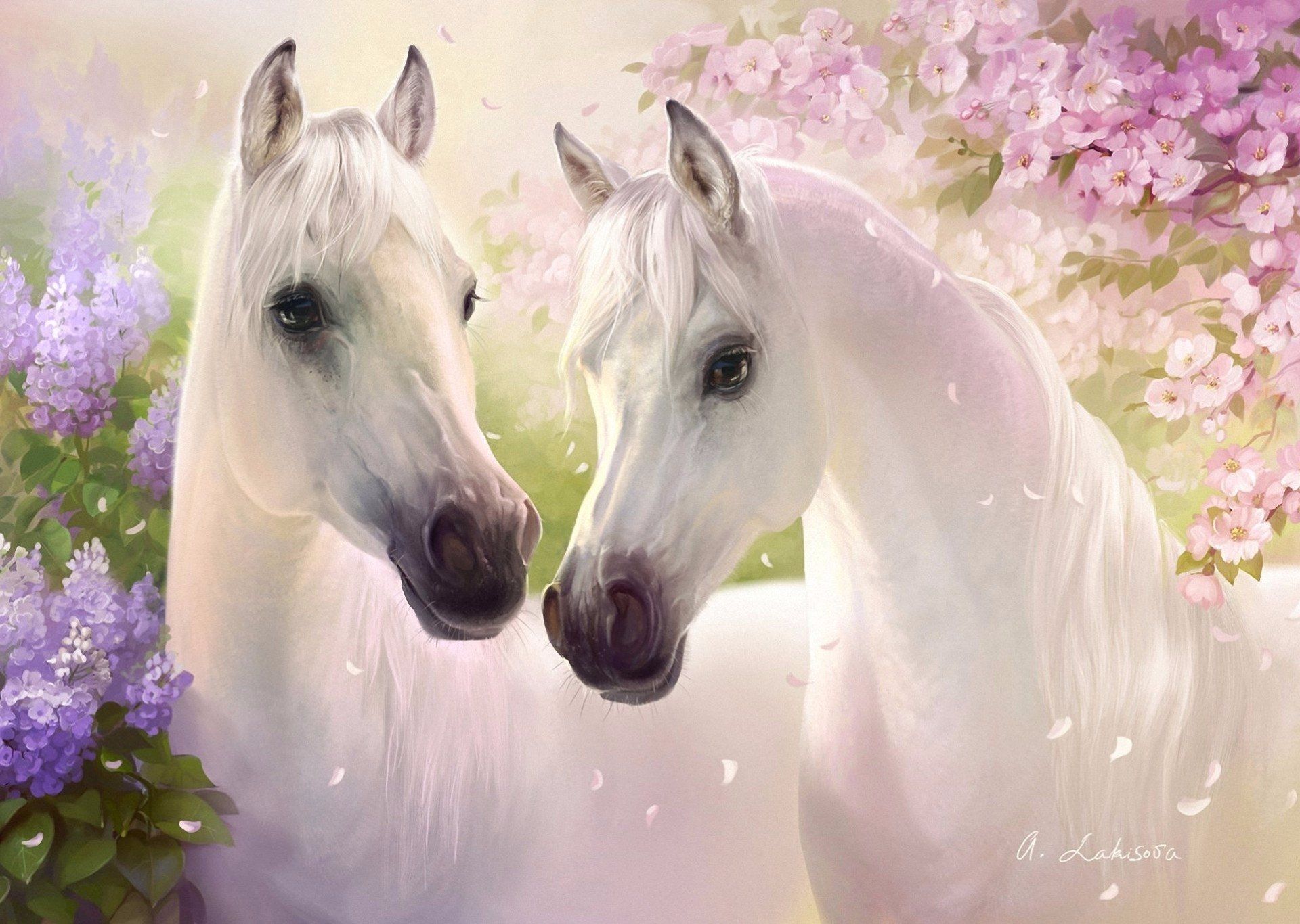 Beautiful Horses Wallpapers